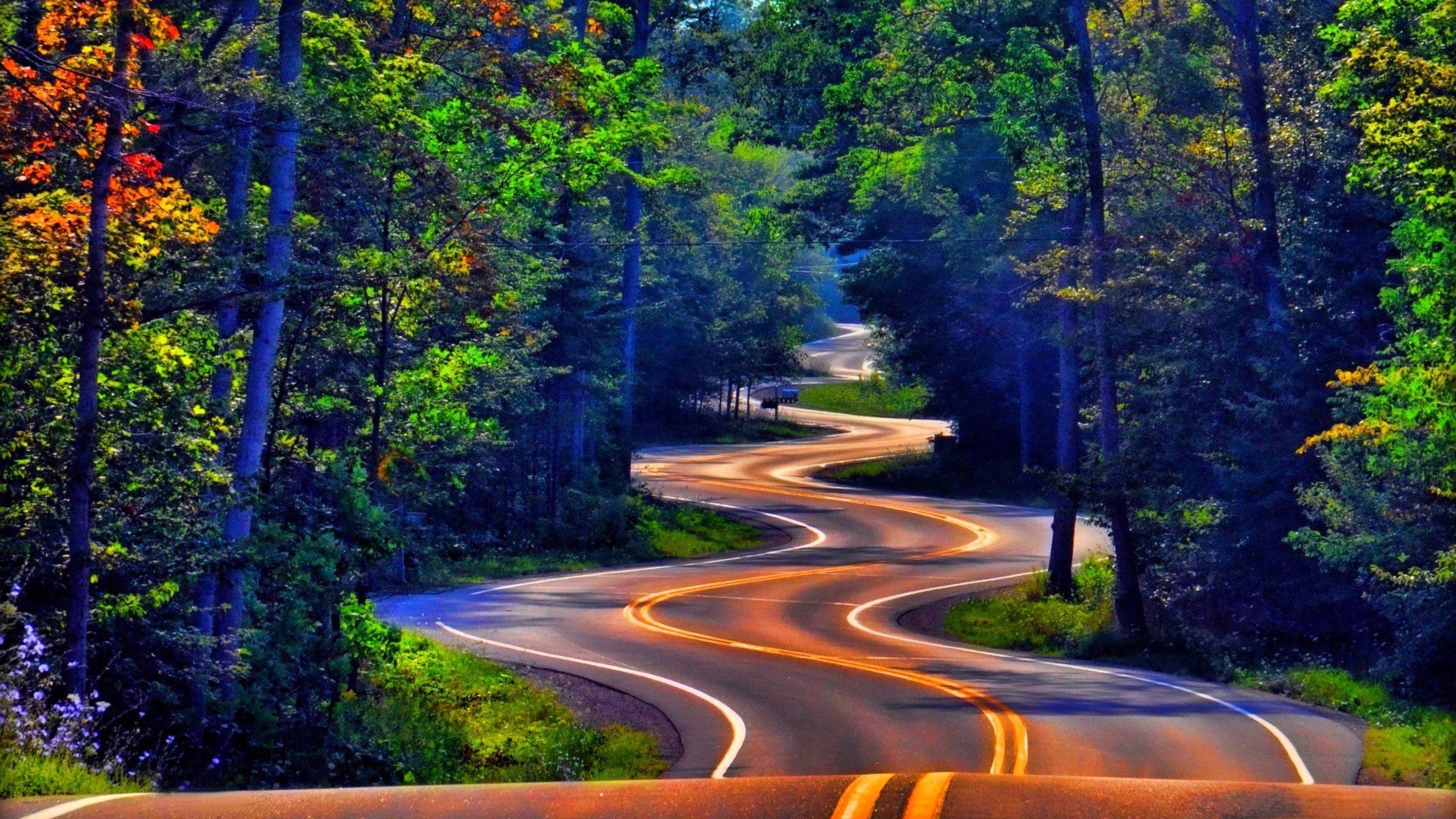 Best Beautiful Nature Road &, rain forest road HD wallpaper | Pxfuel