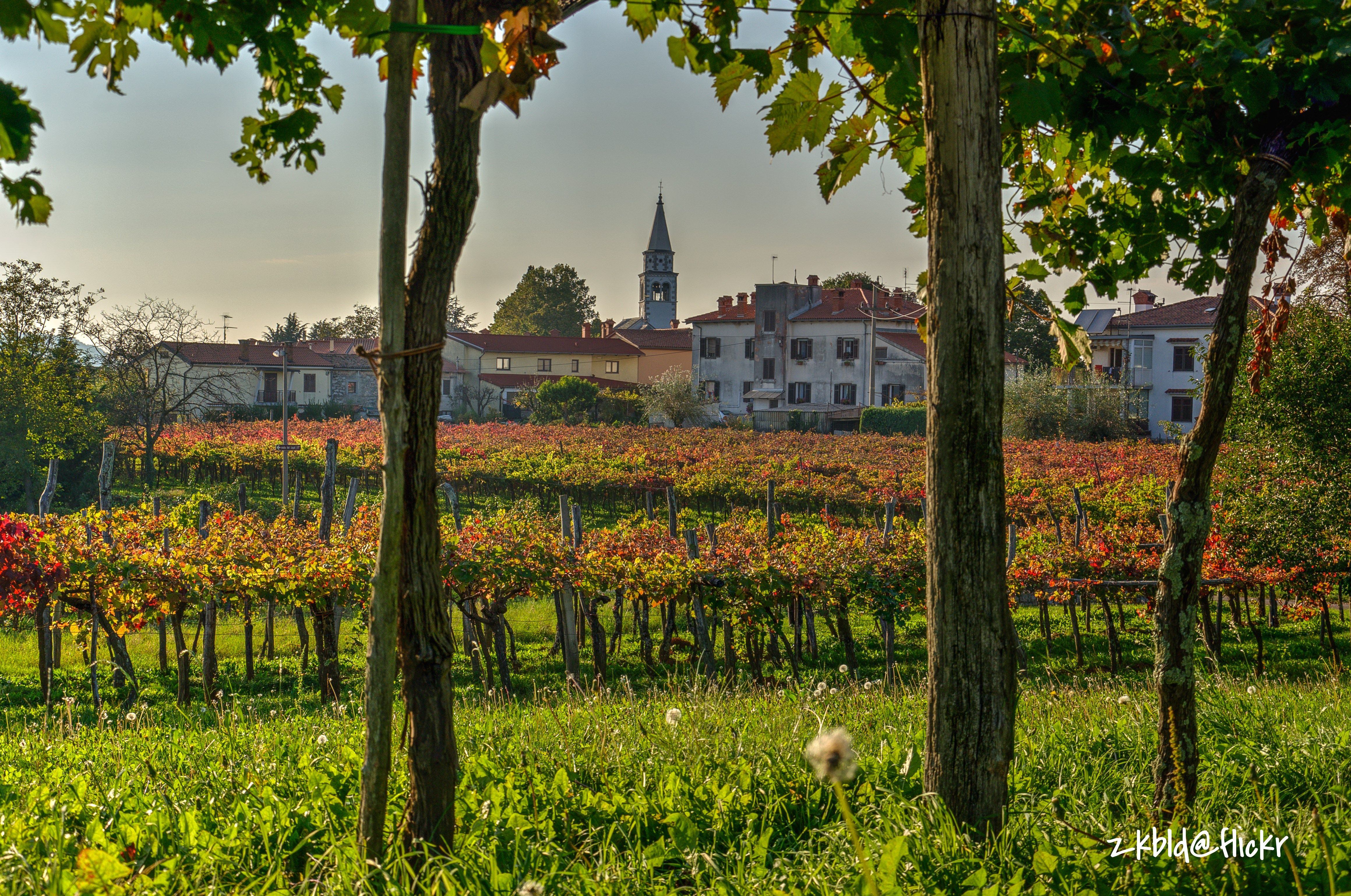 Wallpaper, nature, green, leaf, agriculture, field, vineyard, tree, plant, grass, sky, rural area, flower, landscape, meadow, spring, estate, house, garden, village, autumn, pasture, grassland, farm, plantation 4638x3076 - Wallpaper