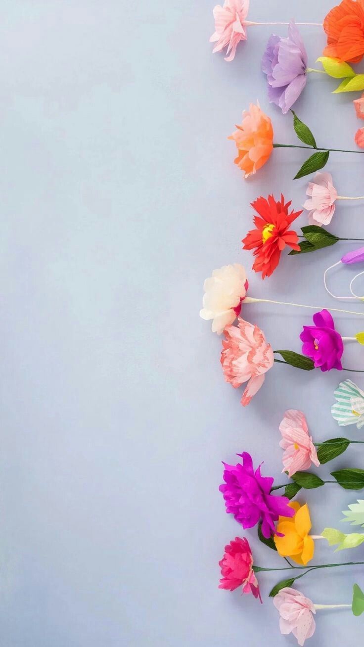Planos de fundo. Flower wallpaper, Flower phone wallpaper, Spring wallpaper