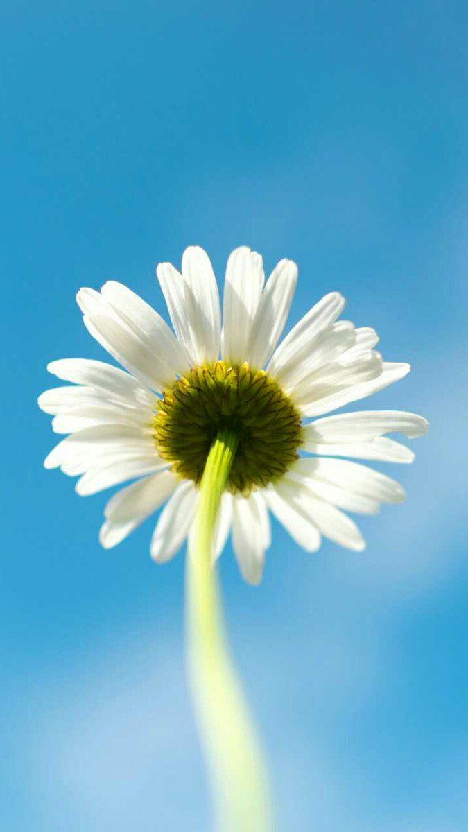 Beautiful Wallpaper - #Beautiful #Summer #Wallpaper for #Android and #iPhone