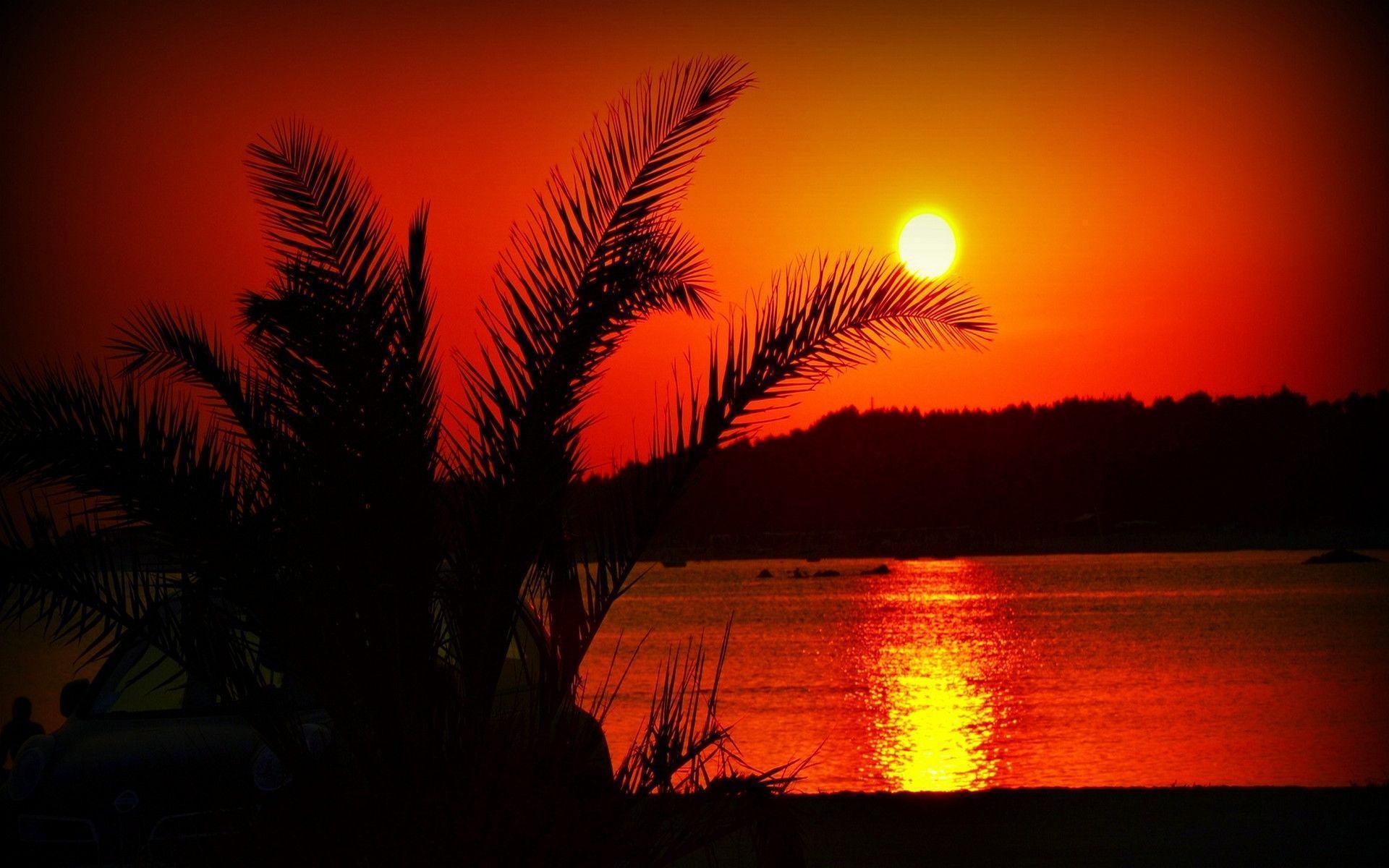 Summer Sunset Wallpaper HD