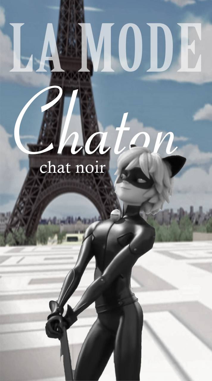 Chat Noir Wallpaper Free Chat Noir Background