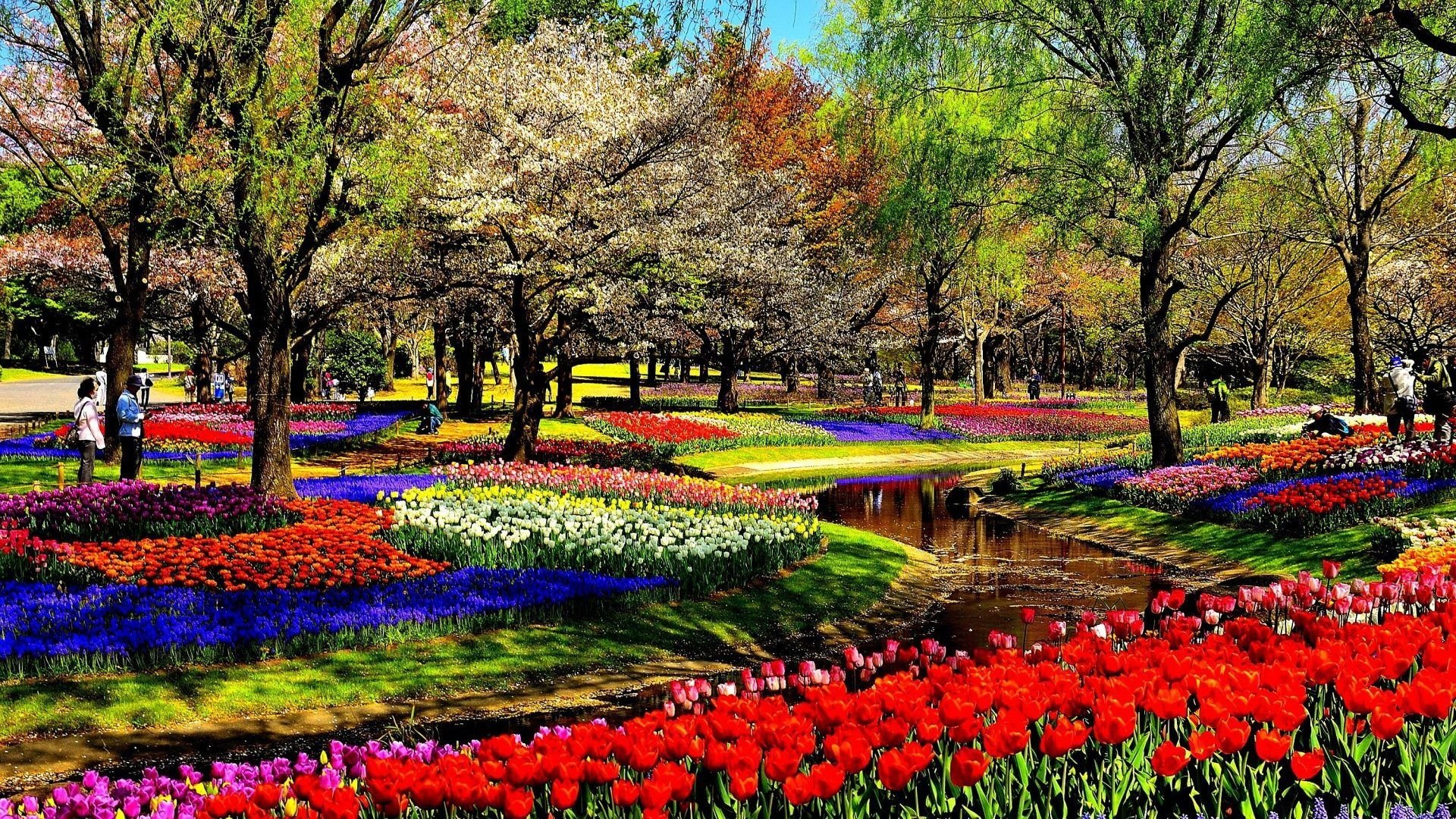 Flowers Park Parks Garden Gardens Colorful Flower HD Of Nature