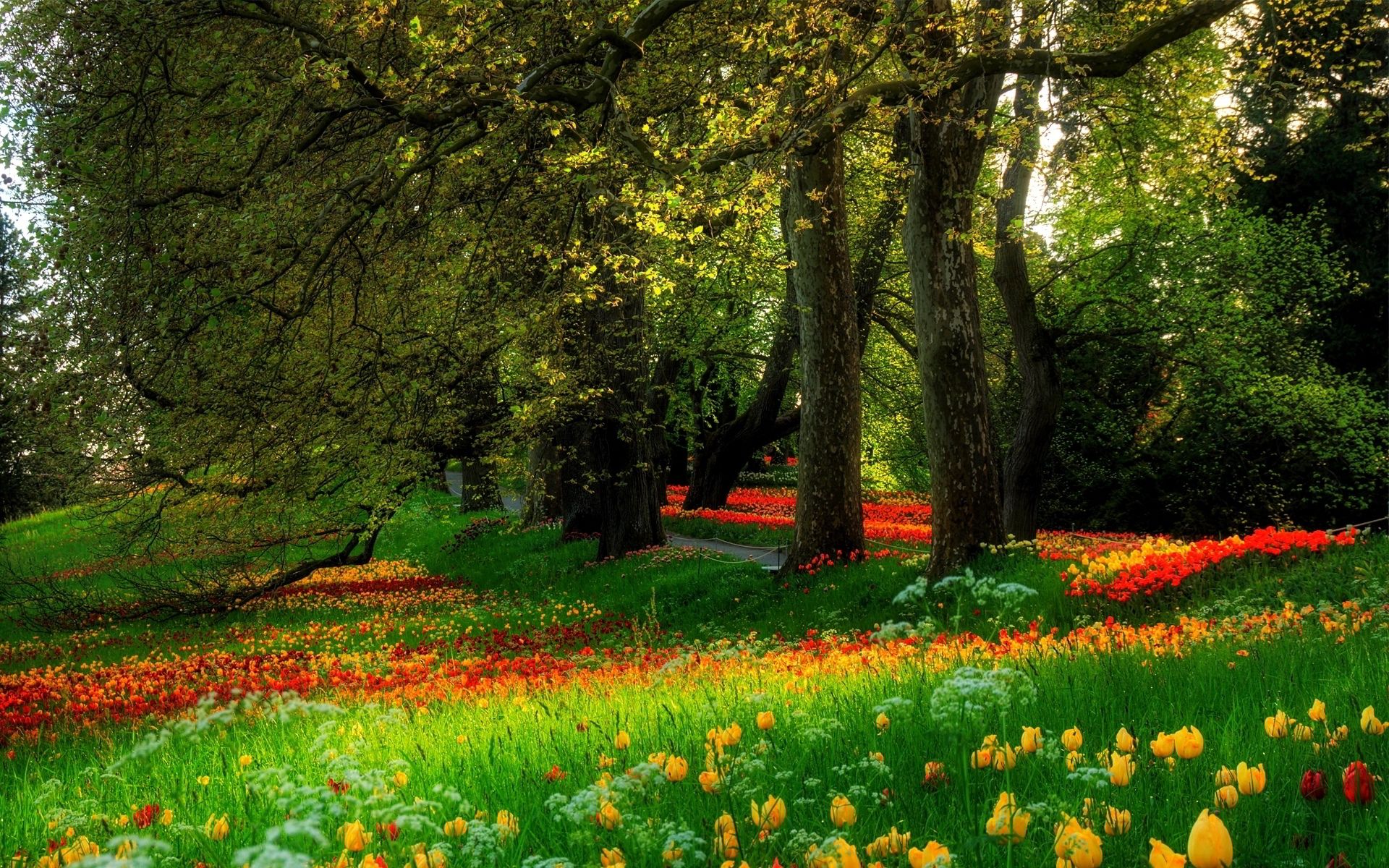 Park flowers