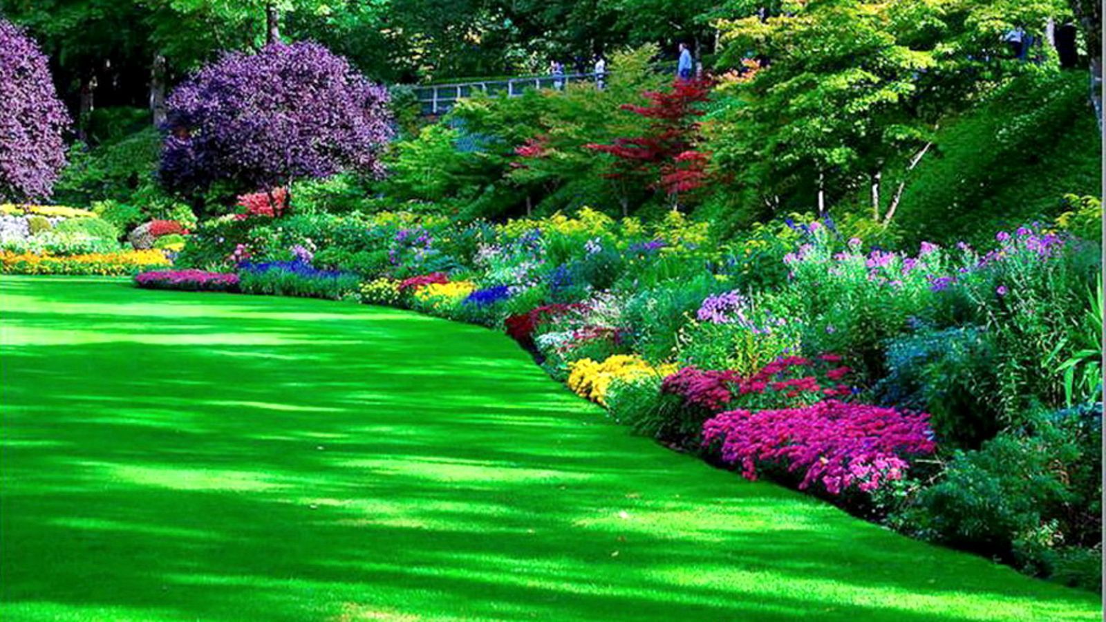 Garden Image HD Free Download Garden Park HD Pretty. Flower garden image, Garden image, Beautiful gardens