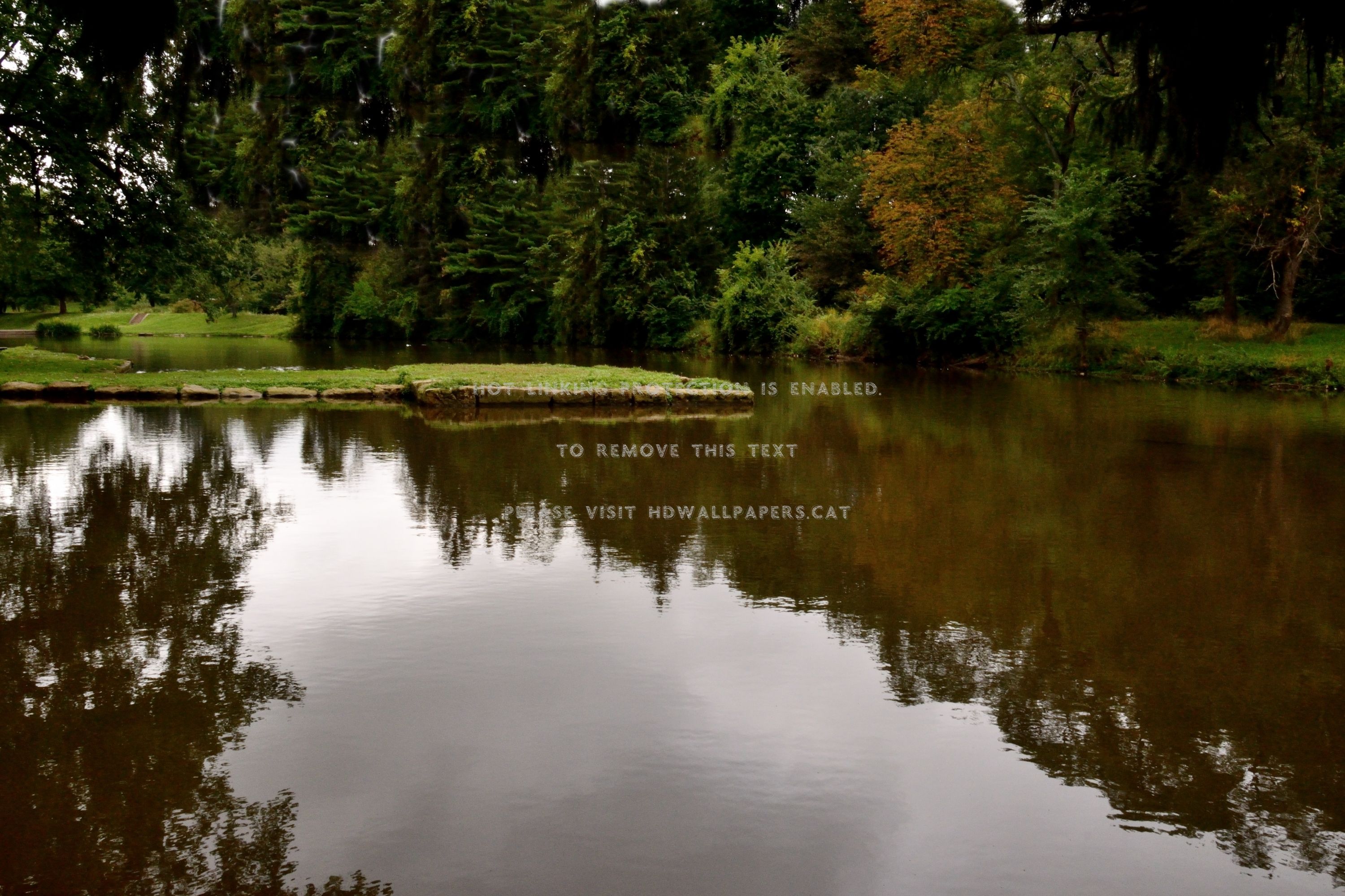 morning serenity tranquil peaceful pond
