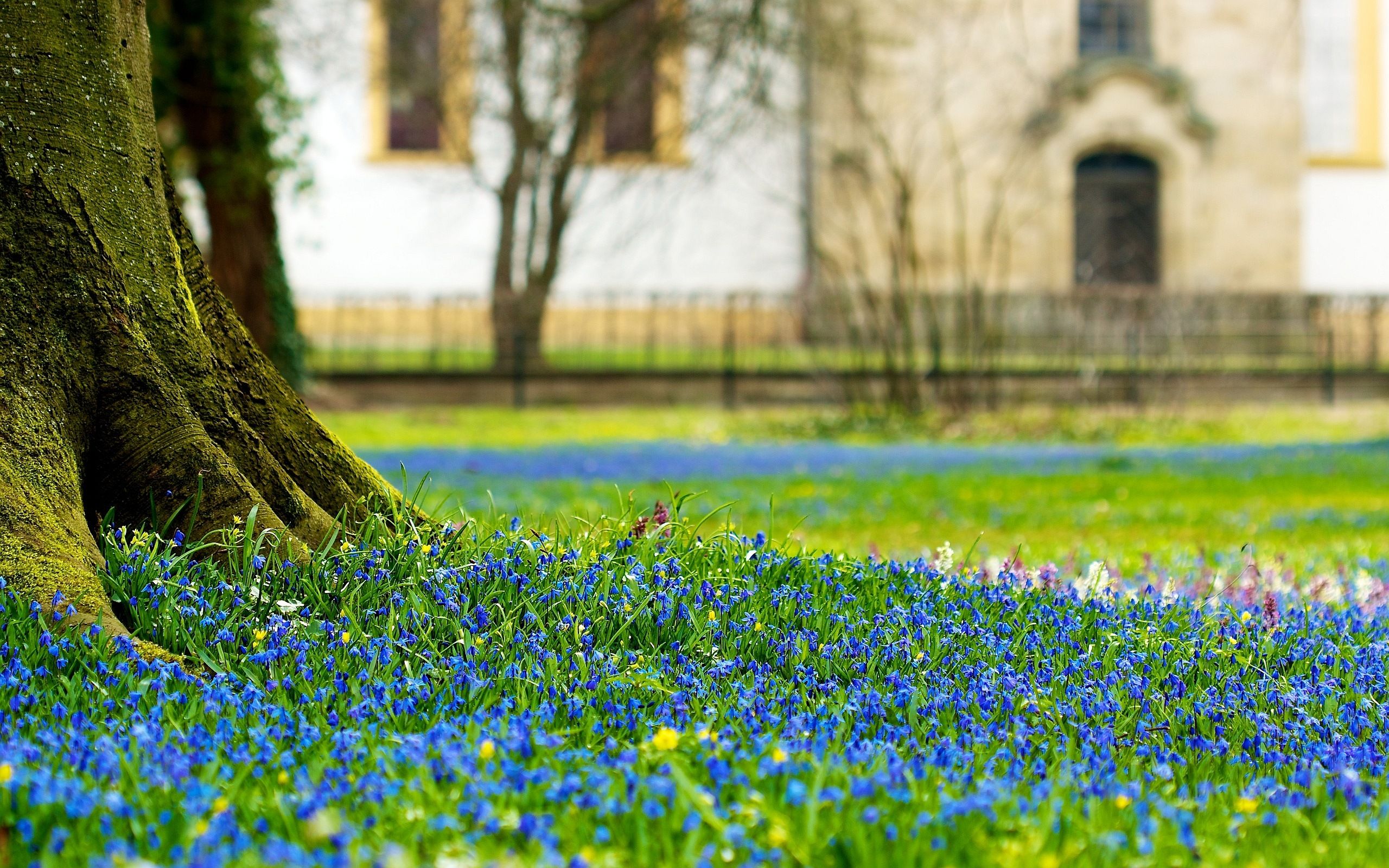 Beautiful Flowers Park