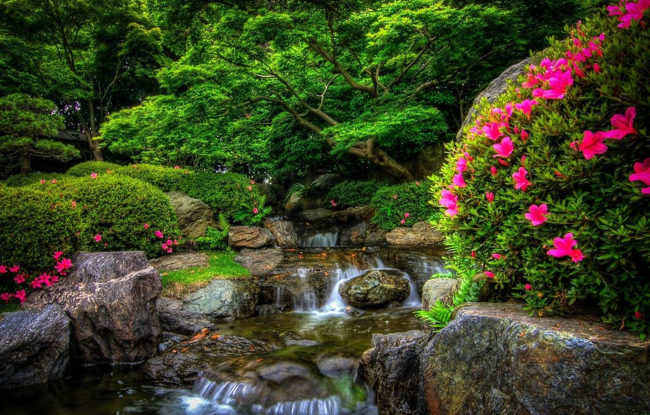 Wallpaper forest, flowers, nature, Park, river, stones, forest, river, nature, Park, flowers, stones image for desktop, section природа