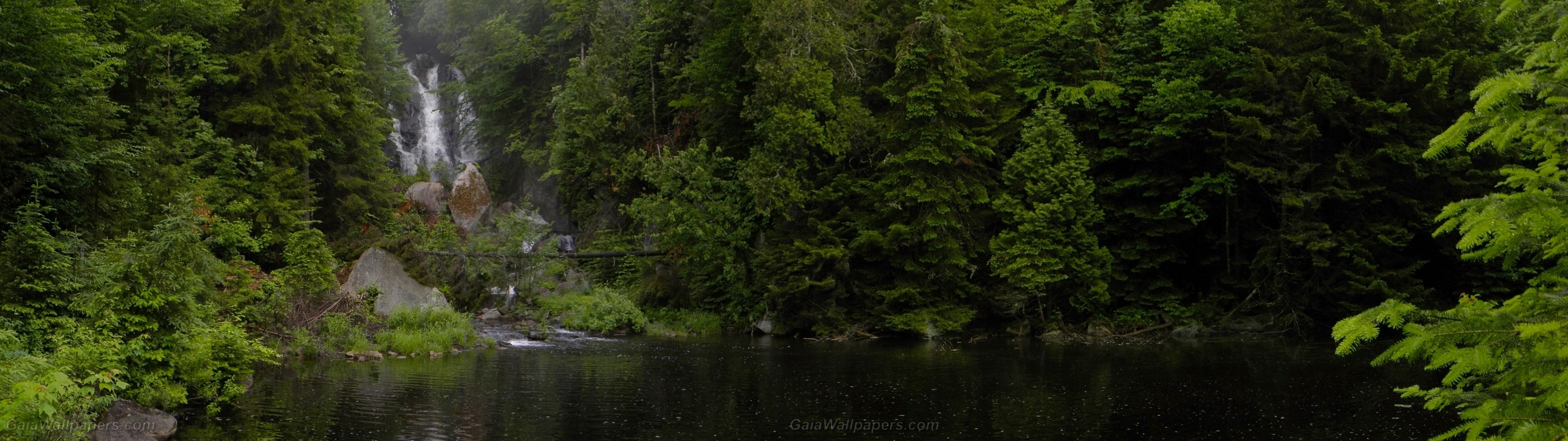 Dual Monitor Wallpaper 3840x1080 Forest