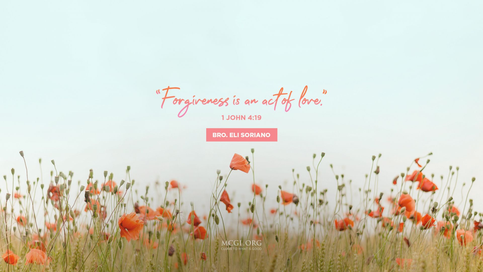 Forgiveness Is An Act Of Love Day HD Wallpaper