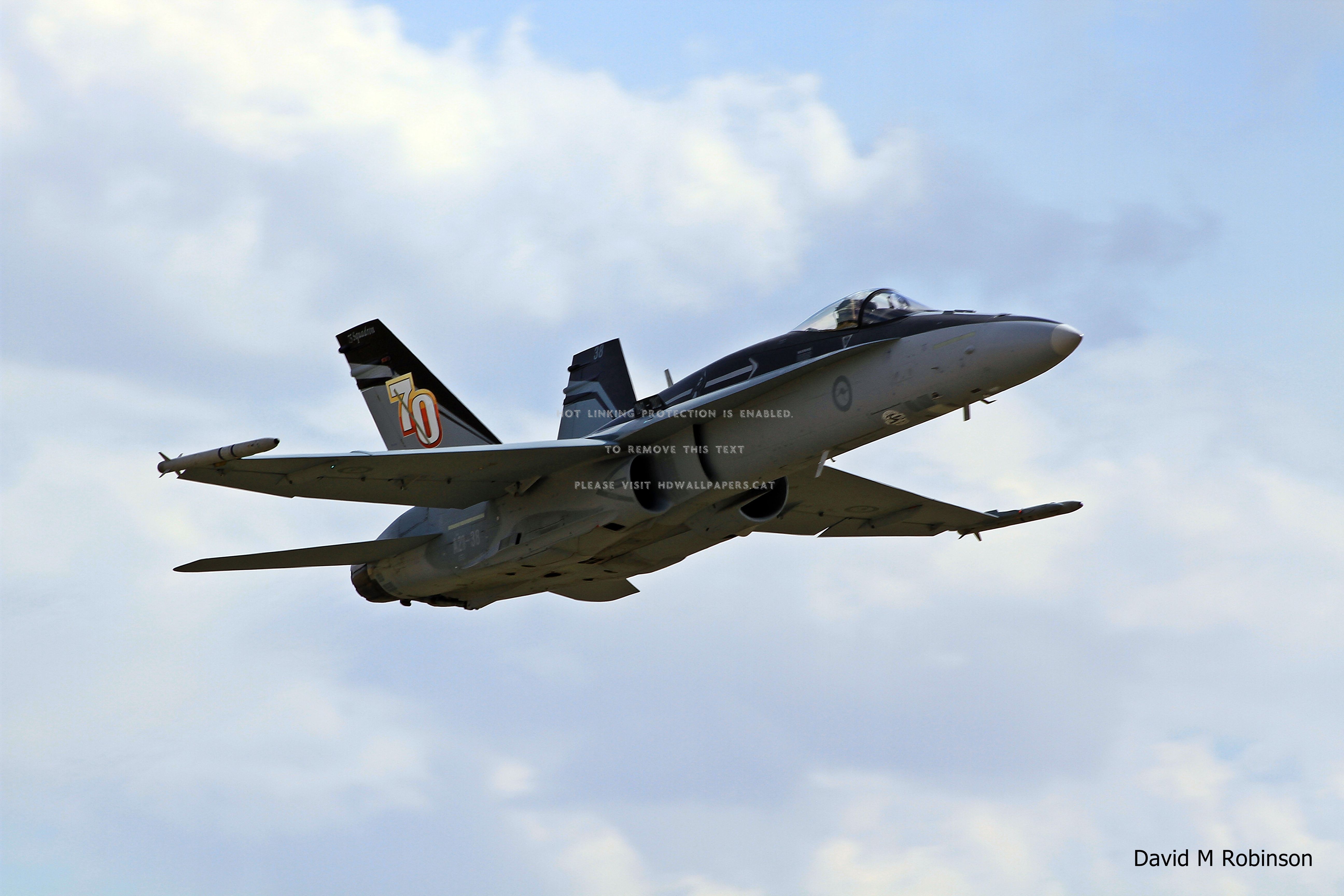 F 18 Hornet Australian Airshow Temora Raaf