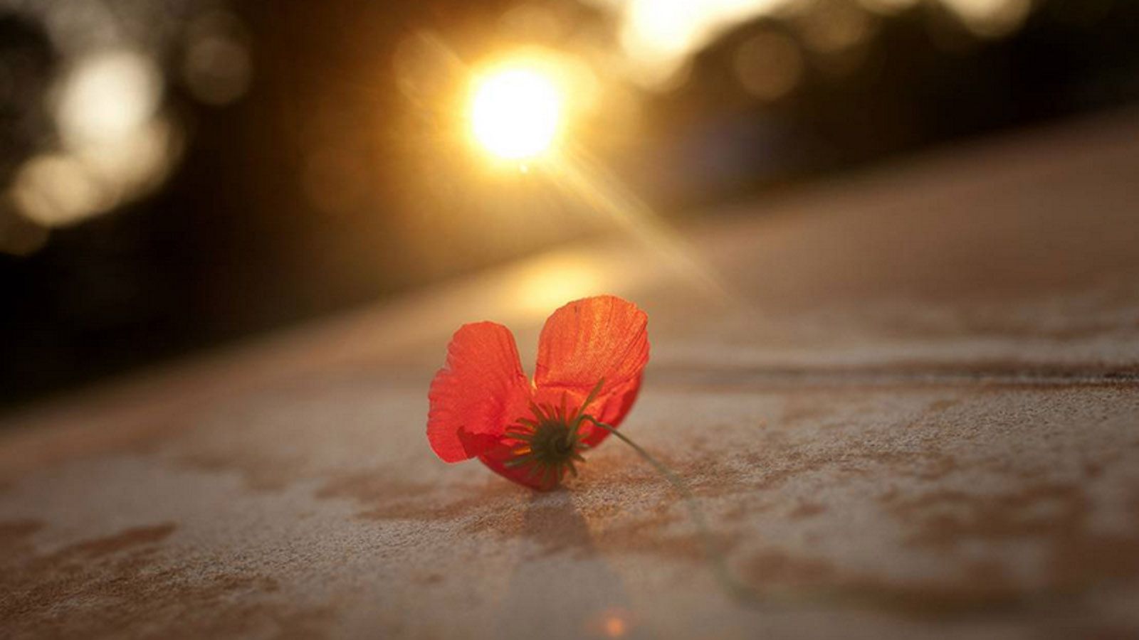 1600x900 anzac day background