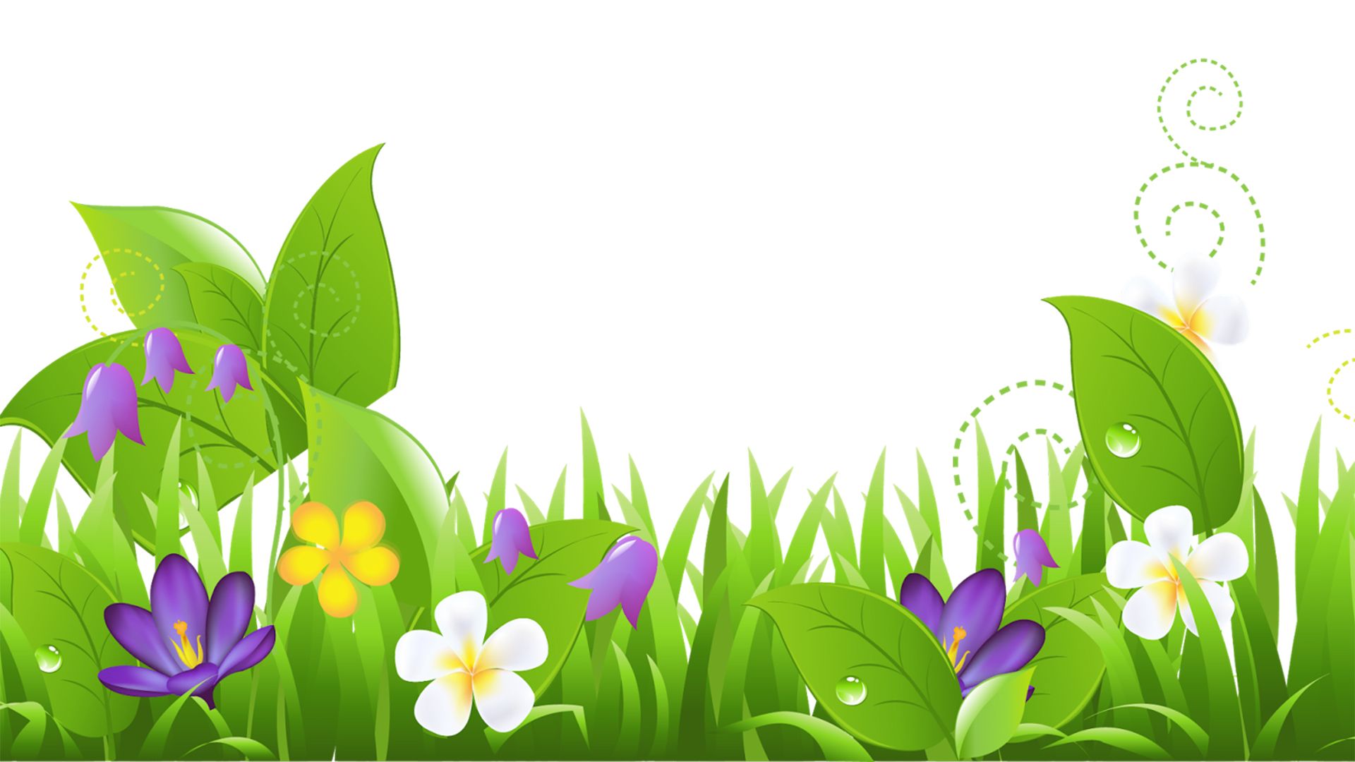 Spring Floral Powerpoint & Frames, Flowers, Green PPT Background and