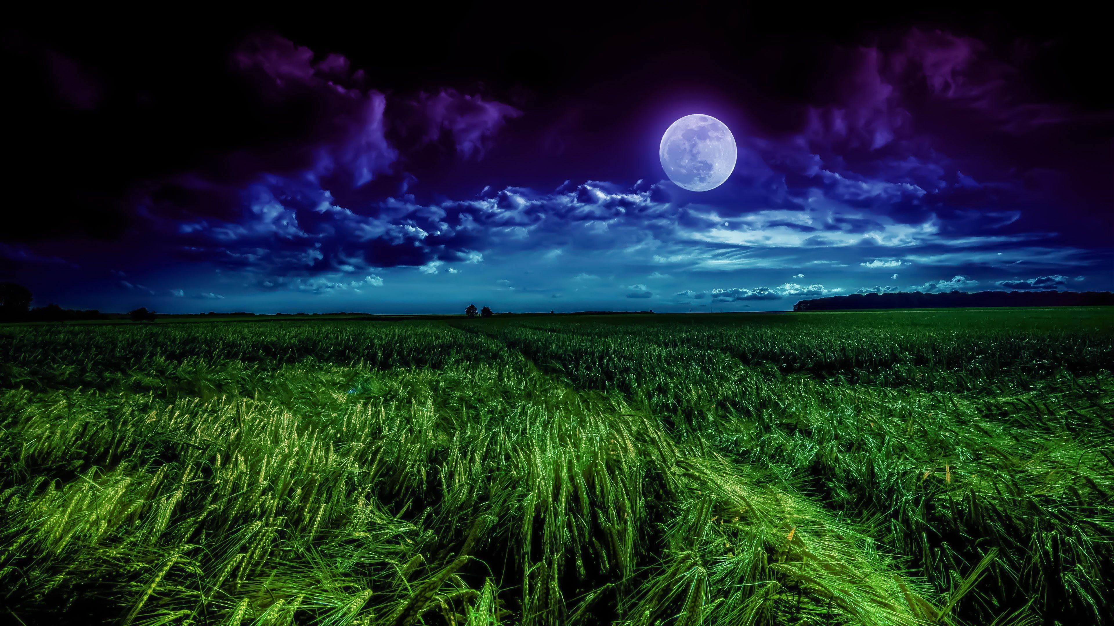 Moon 4K Wallpaper, Landscape, Night, Field, Cloudy, Nature