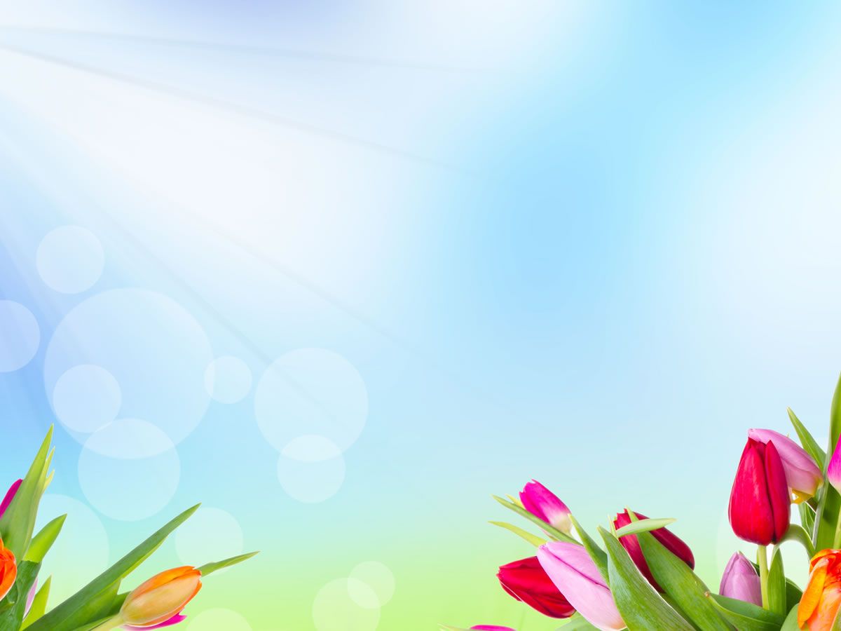 Ppt Flower Background Background for Free PowerPoint
