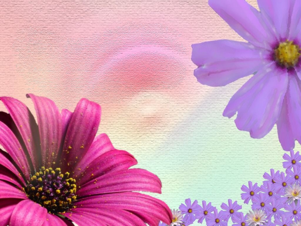 Simple Spring Flowers Background For PowerPoint PPT