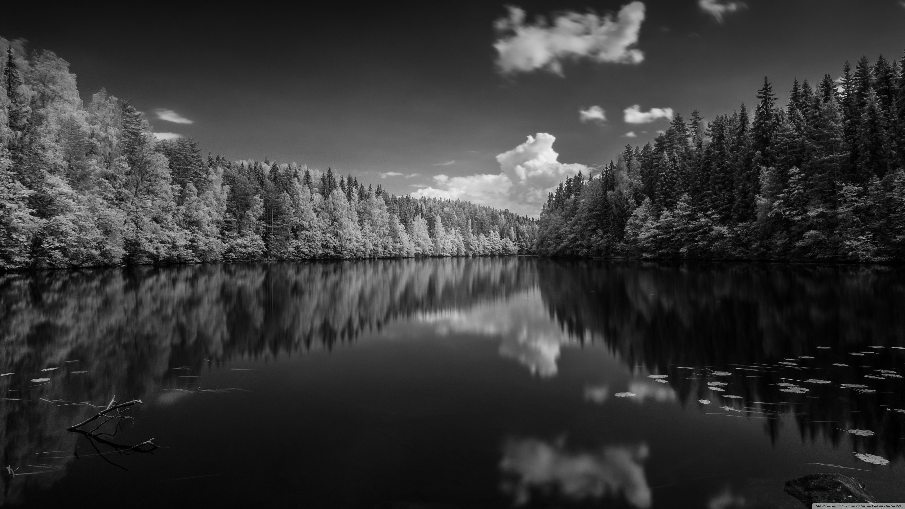 Black And White Desktop Wallpaper 100 Black And White Pc Wallpapers Black And White Desktop Wallpaper 100 Black And White Pc Wallpapers