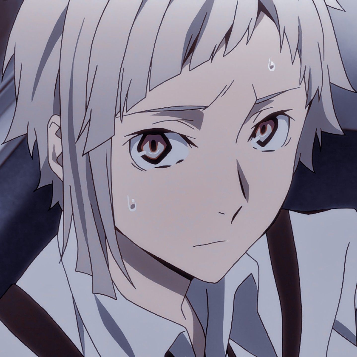 atsushi nakajima icon. Bungo stray dogs, Dog icon, Bungou stray dogs