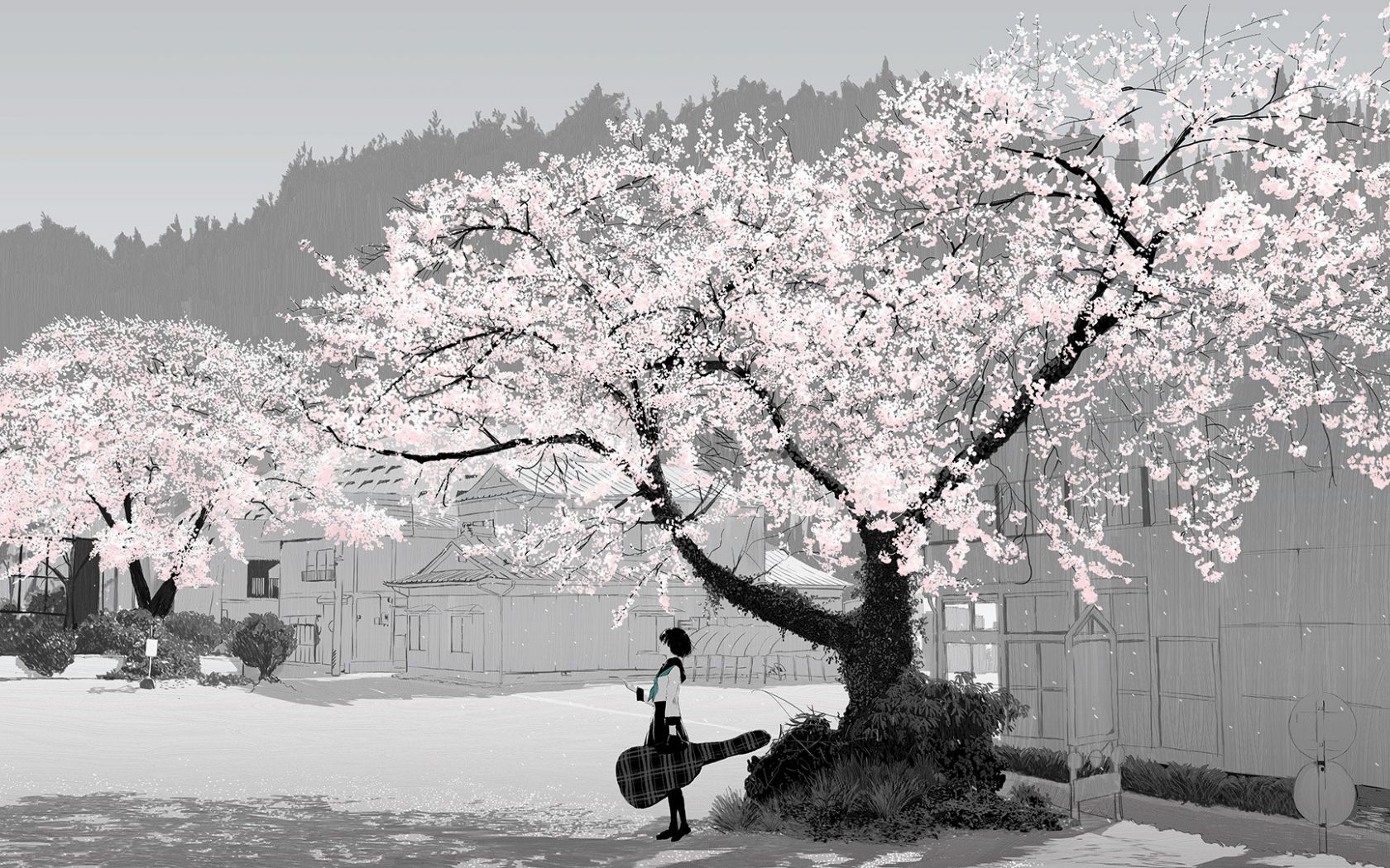 Desktop Wallpaper Cherry Blossom, Anime Girl, Outdoor, HD Image, Picture, Background, 447f22
