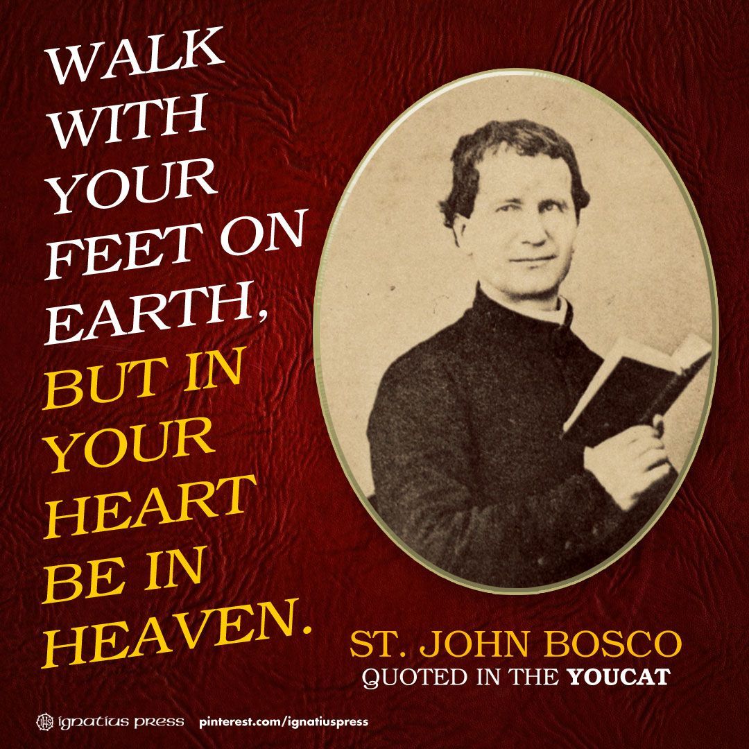 YOUCAT Cardinal Schoenborn, Ignatius Press. Saint quotes catholic, Catholic quotes, Saint quotes