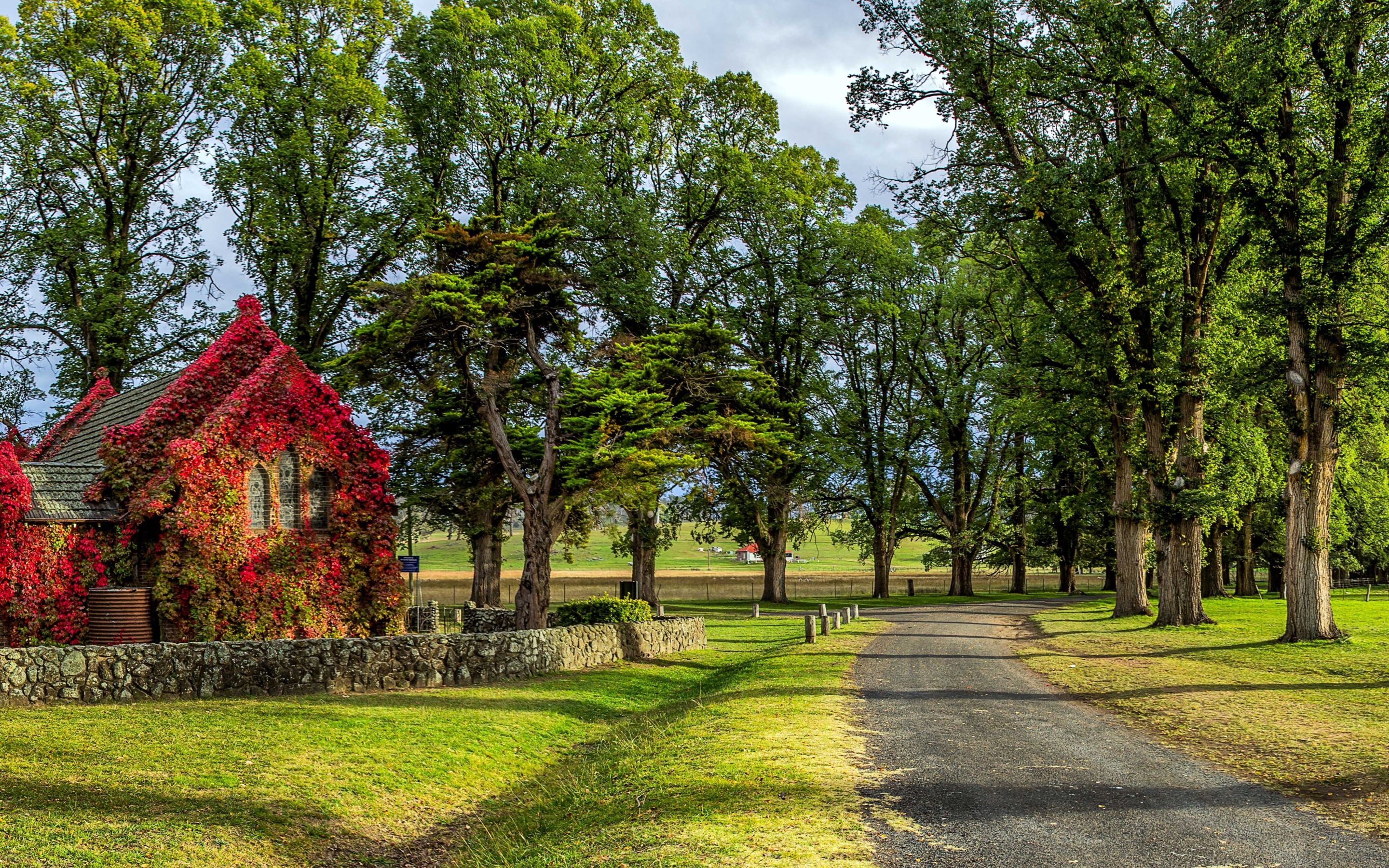 Beautiful park MacBook Air Wallpaper Download