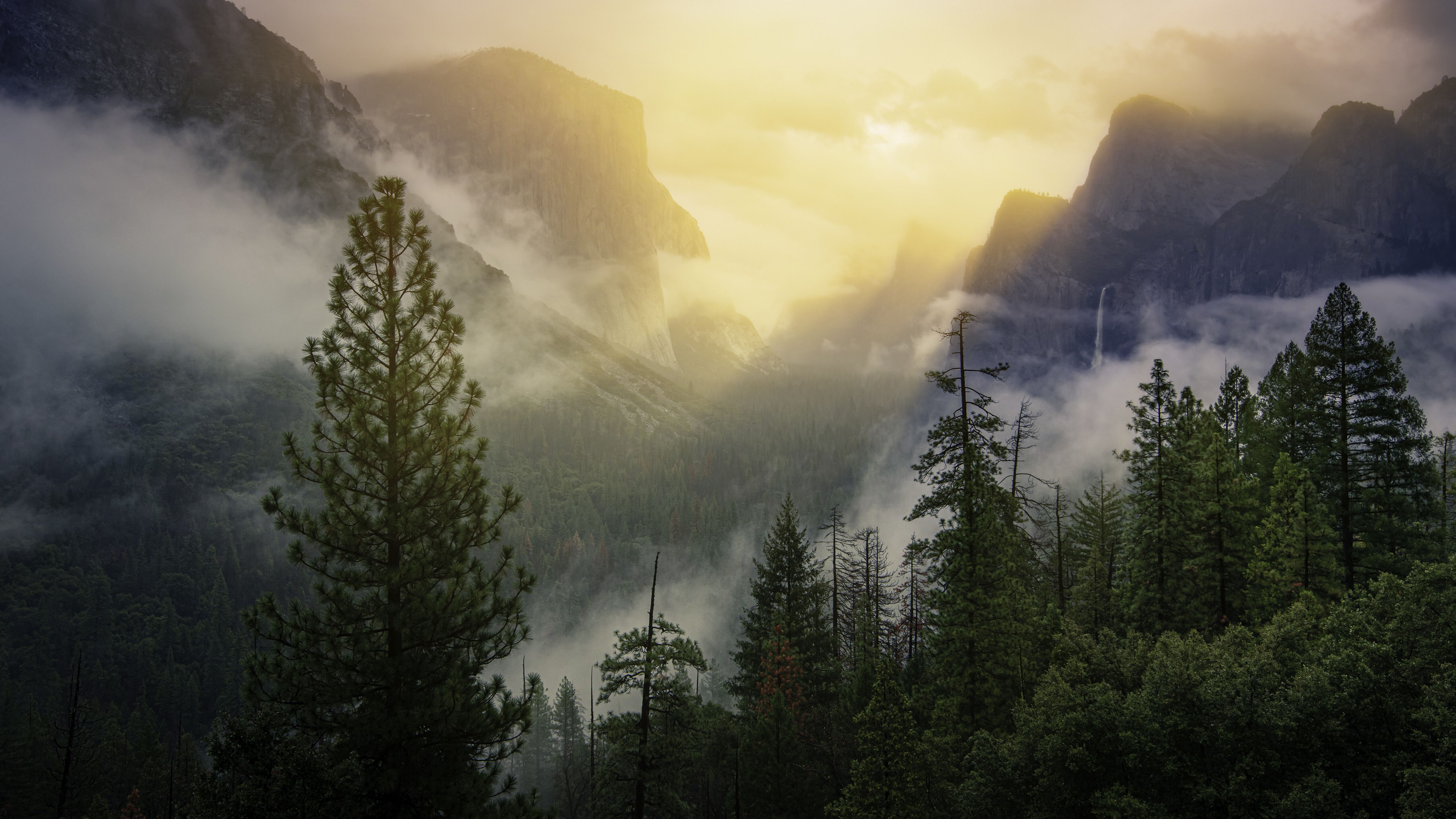 Yosemite National Park Beautiful View 5k 5k HD 4k Wallpaper, Image, Background, Photo and Picture