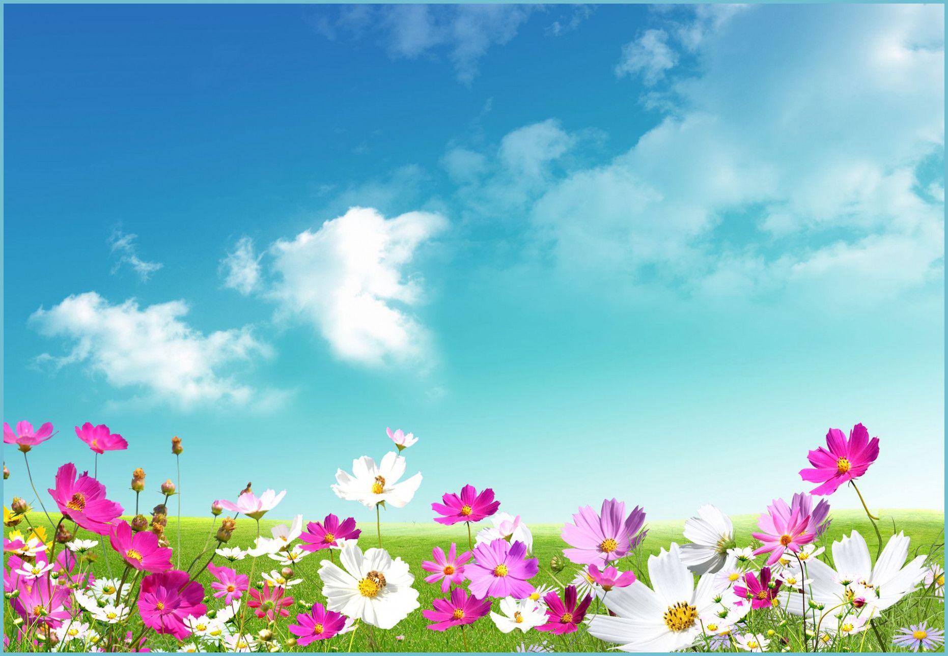 Spring Spring 9, Free Wallpaper, Free Desktop Wallpaper, HD Background Wallpaper