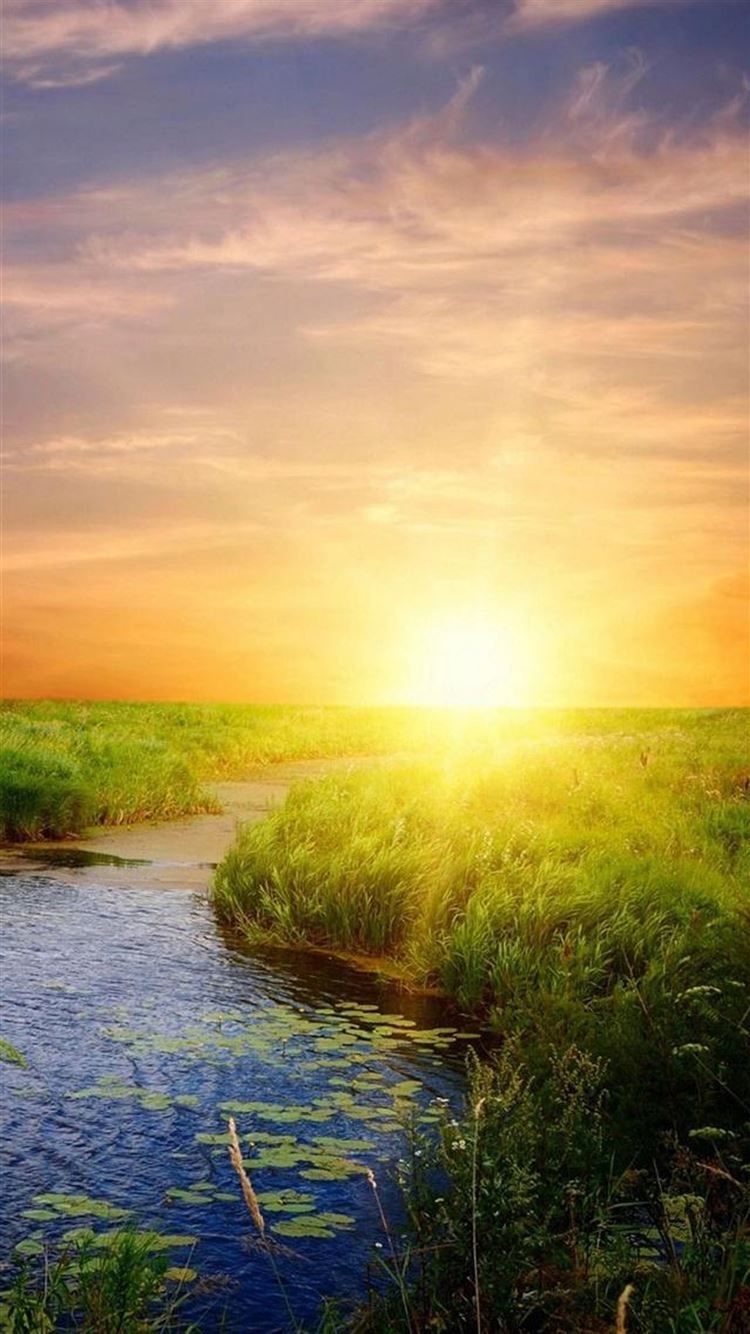 Nature Sunrise Bright Lake Field Landscape iPhone 8 Wallpaper Free Download