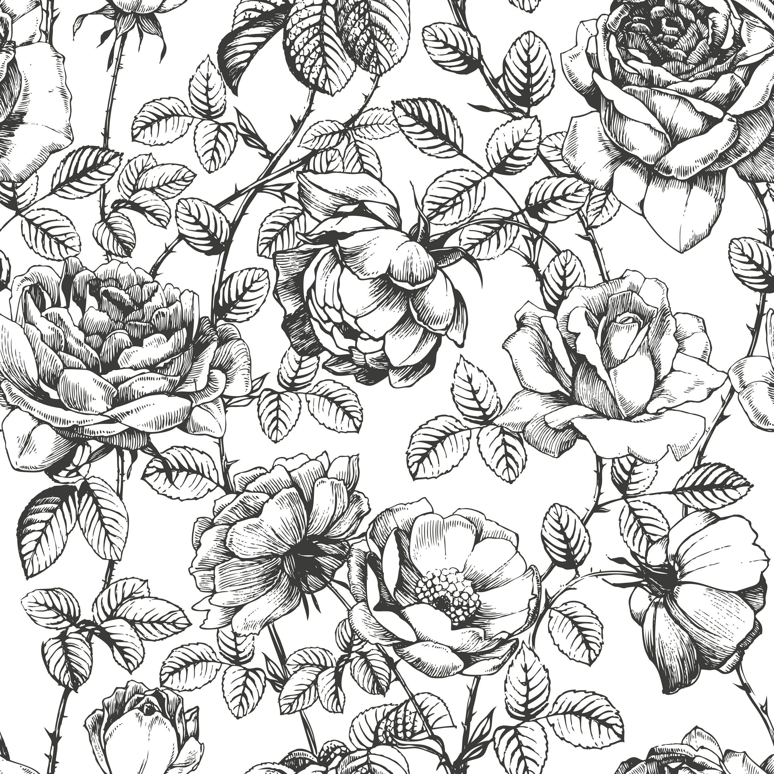 Hand Drawn Gardenia Flowers Removable Wallpaper'ft H x 24''inch W