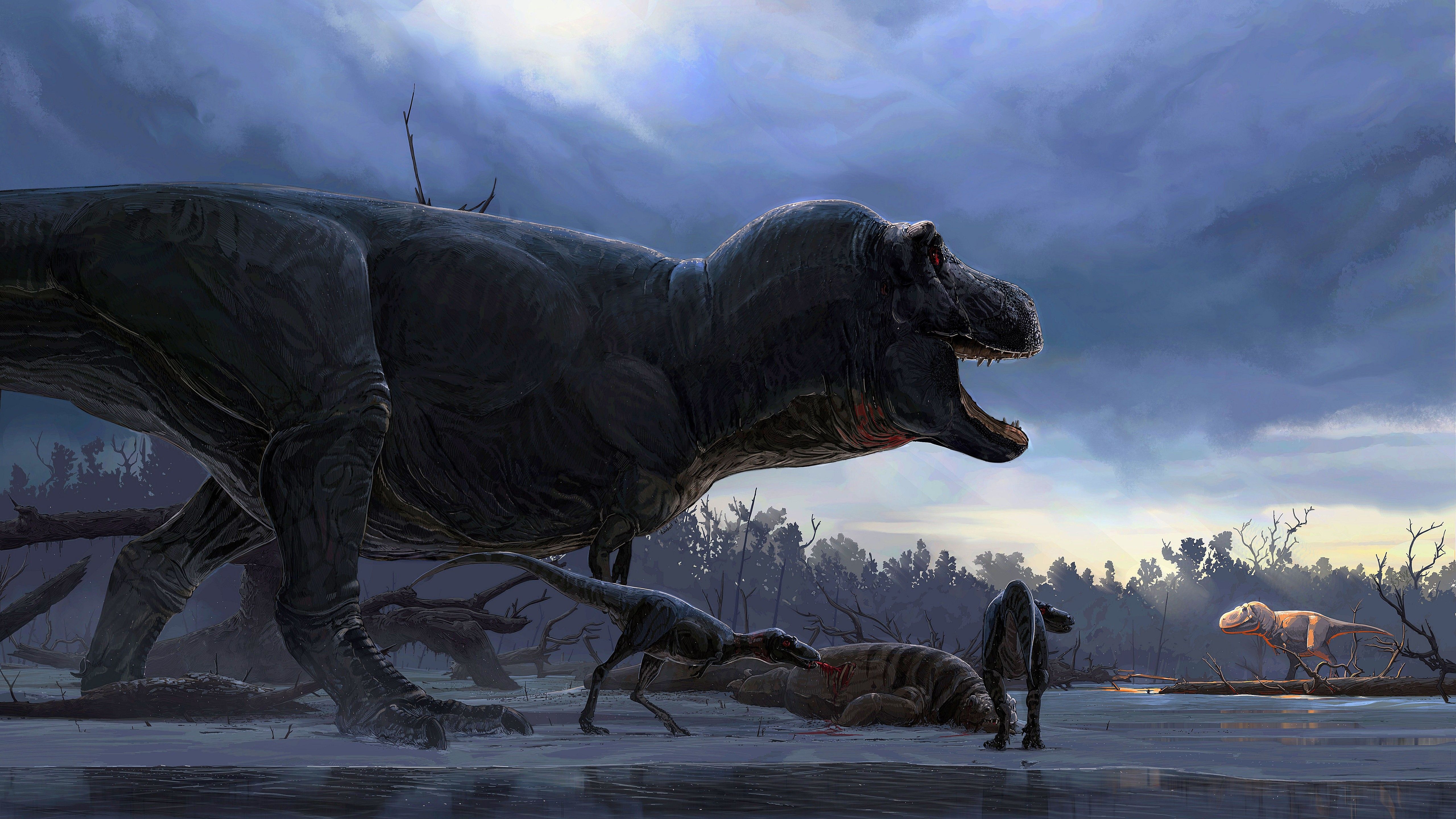 Dinosaur Tyrannosaurus 4K 5K HD Rex Wallpaper