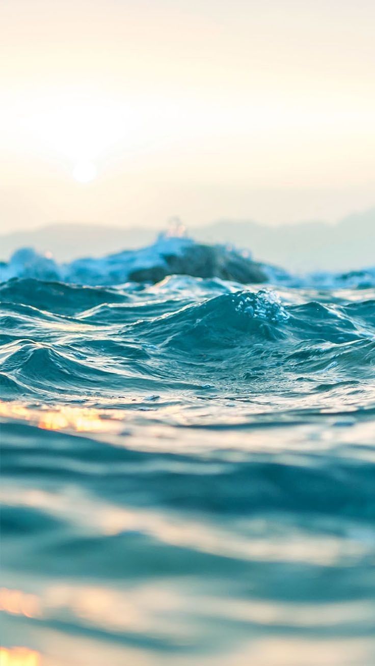 Pleasure Wallpapers Wallpaper Cave