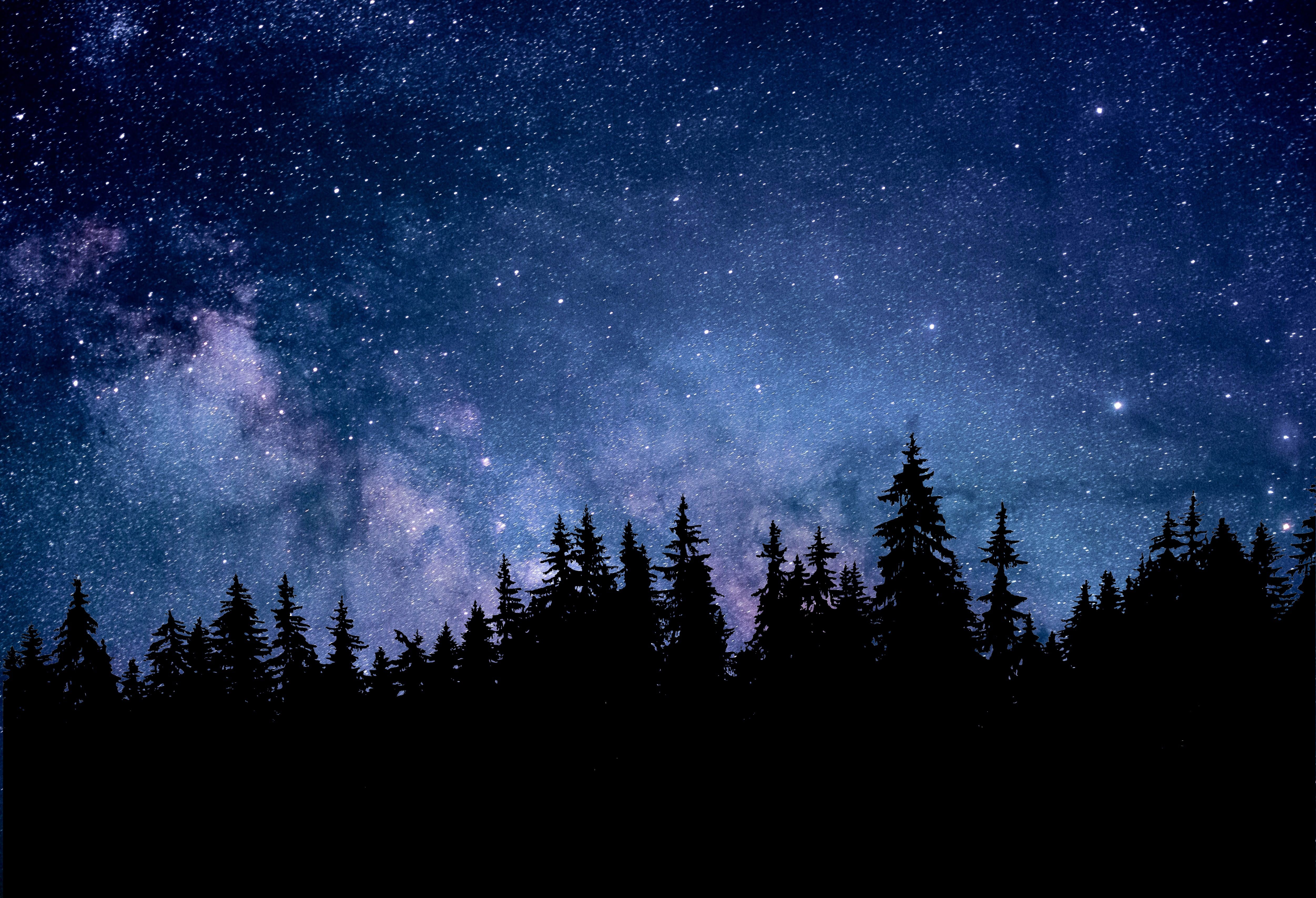 Night 4K Wallpaper, Starry sky, Forest, Silhouette, Astronomy, Cosmos, 5K, Nature
