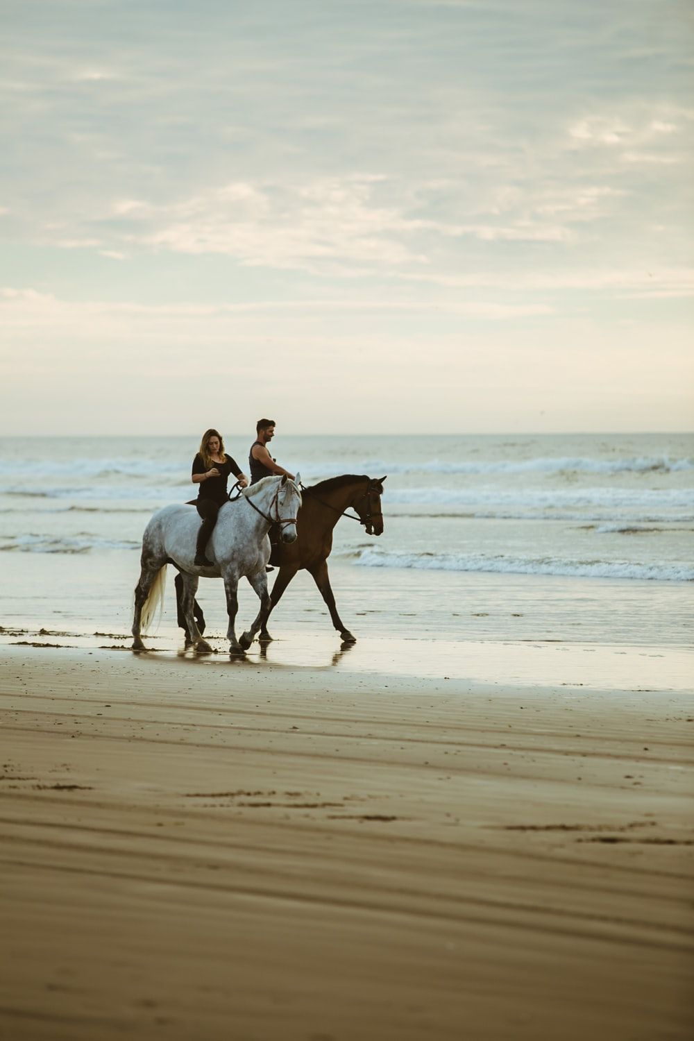 Horse Beach Picture. Download Free Image