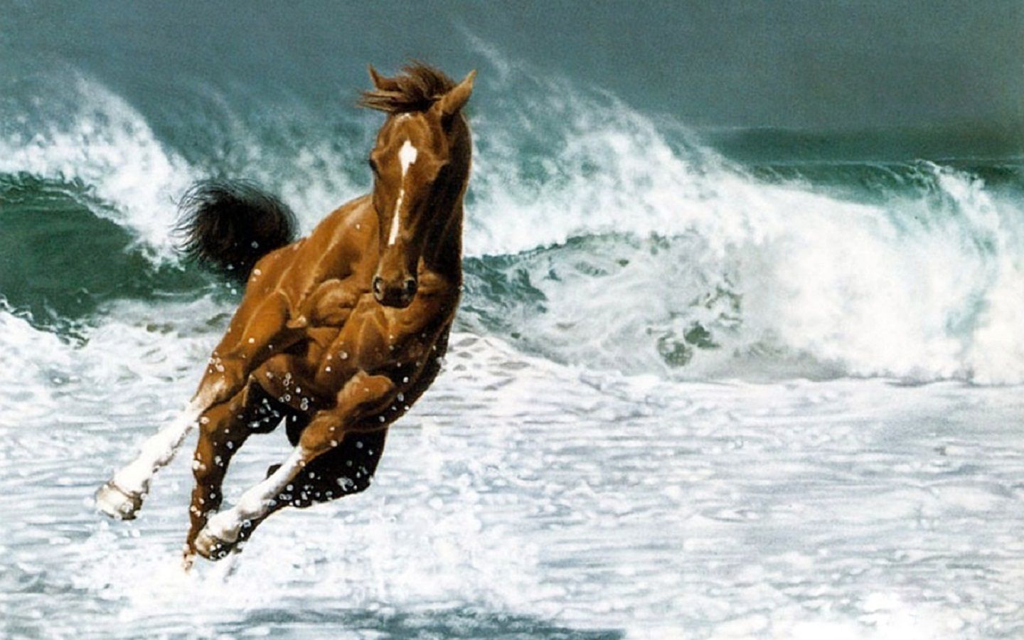 Free download Horse sprint at ocean beach wide HD wallpaper HD Wallpaper Rocks [1440x900] for your Desktop, Mobile & Tablet. Explore Horses on Beach Wallpaper. Horse Wallpaper For Computer