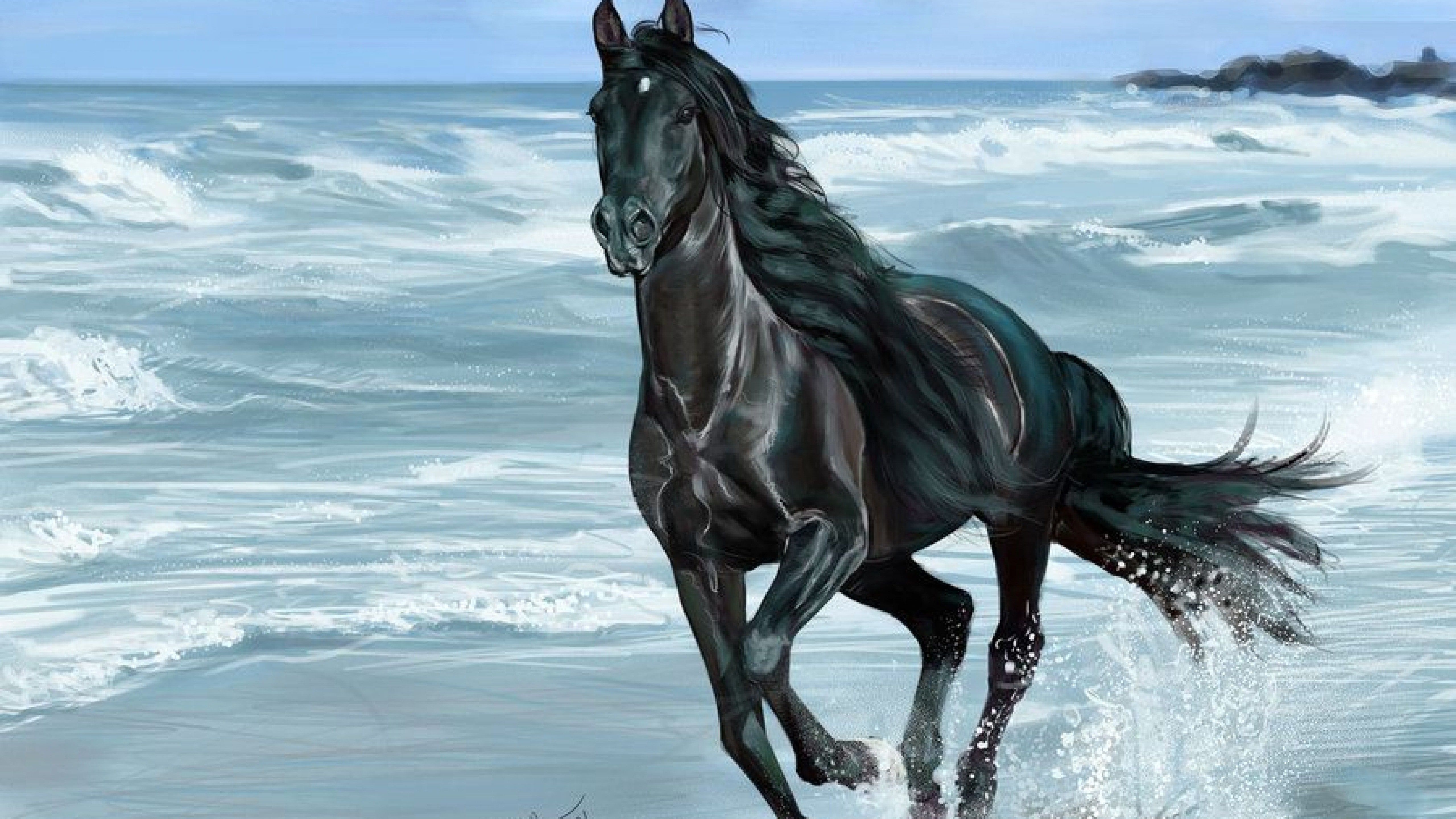 Running Black Horse Wallpaper HD