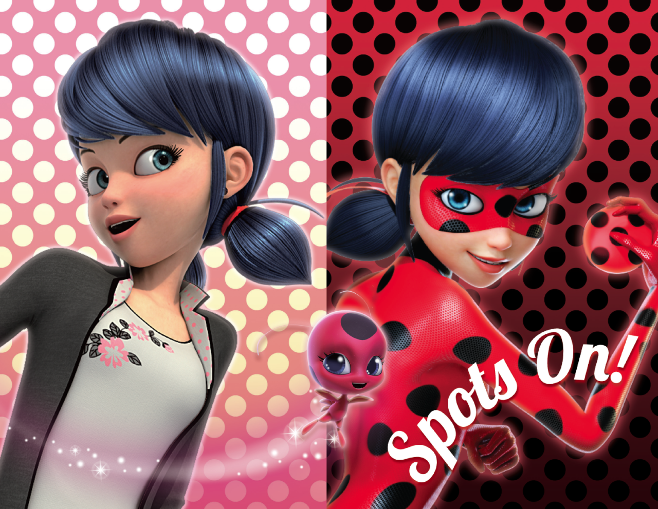 Marinette Ladybug Ladybug Photo