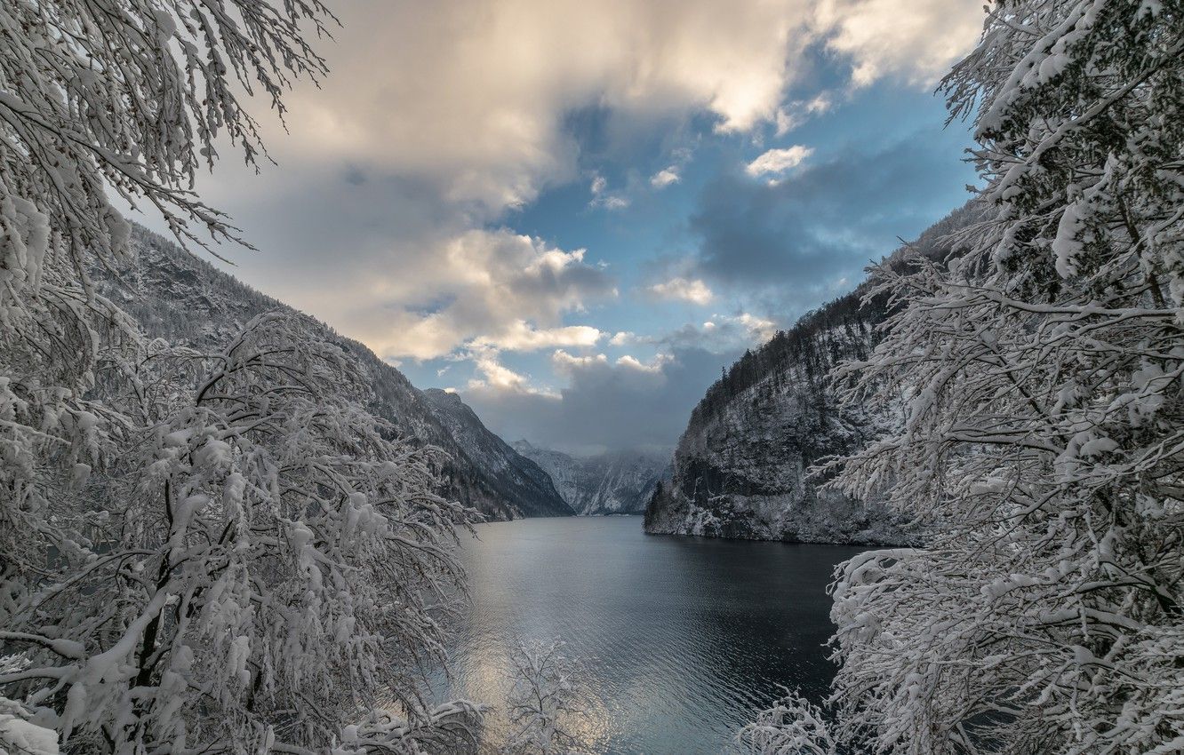 Wallpaper winter, snow, trees, mountains, branches, lake, Germany, Bayern, Alps, Germany, Bavaria, Alps, Königssee lake, lake Königssee, Berchtesgaden Alps, Berchtesgaden Alps image for desktop, section пейзажи