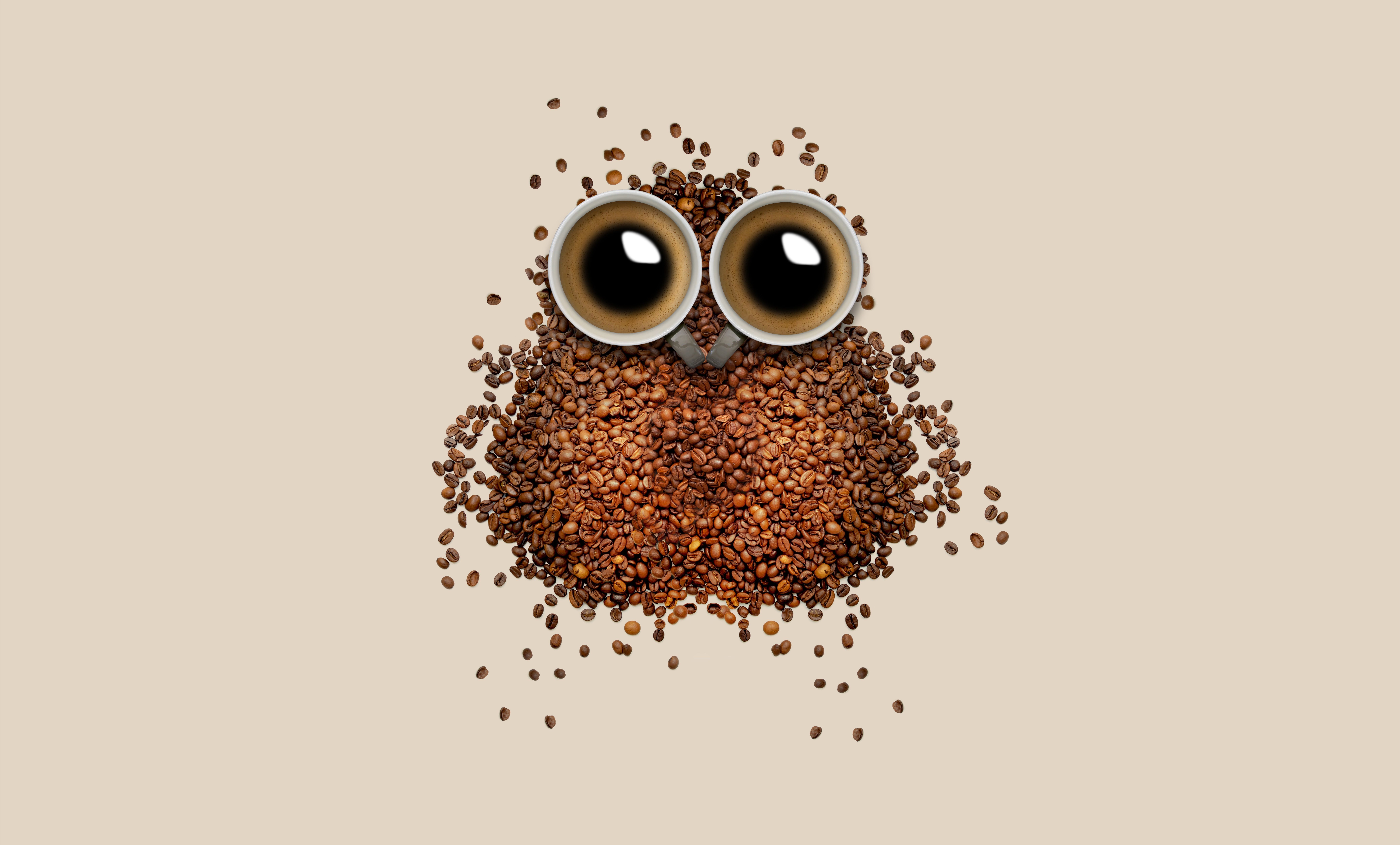 Coffee beans 4K Wallpaper, Owl, Coffee cup, Brown, Drinks, Caffeine, Beautiful, 5K, 8K, Food