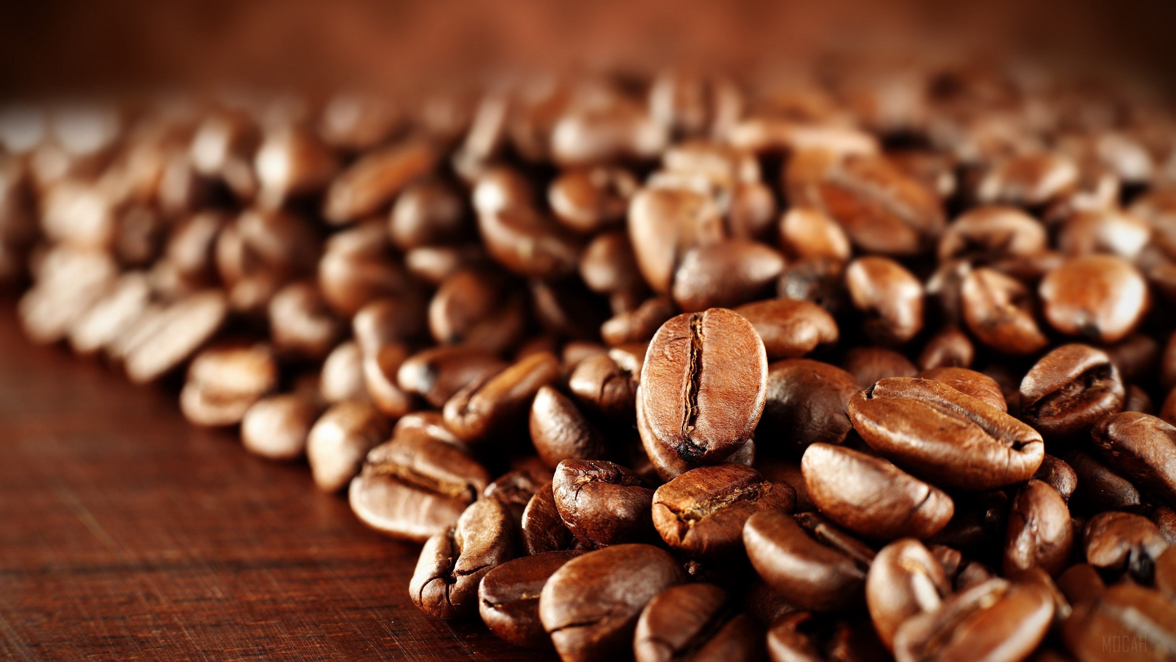 coffee beans HD wallpaper, Background
