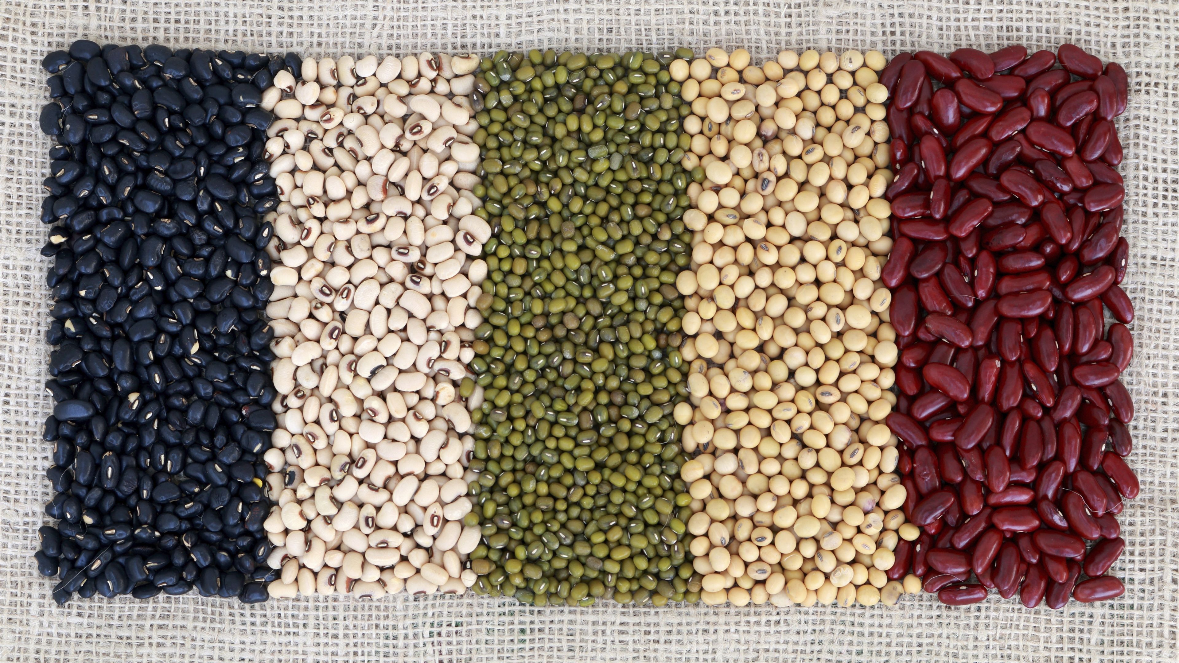 Wallpaper Beans, colors, grain 3840x2160 UHD 4K Picture, Image