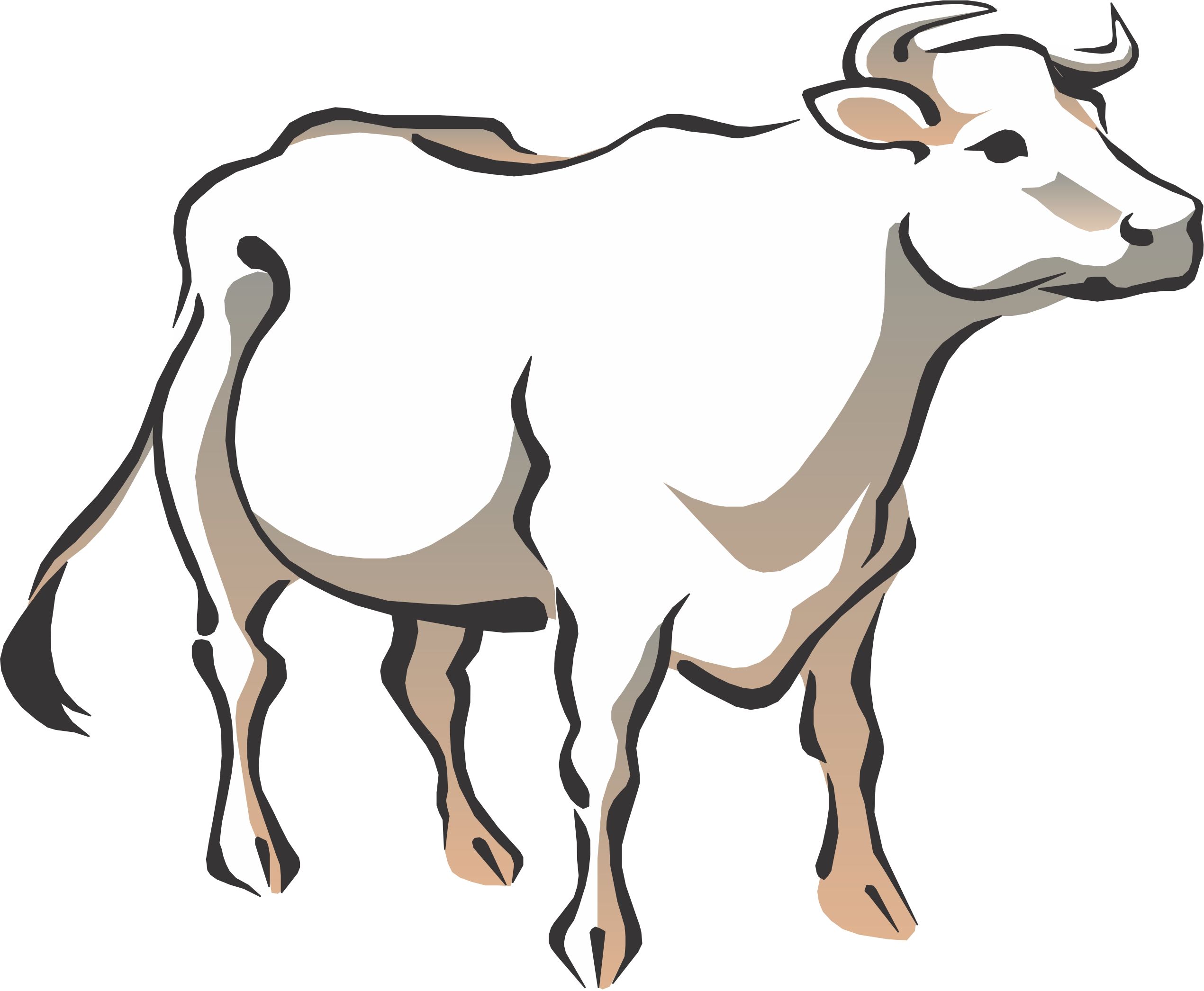 Cartoon Picture Of Cow