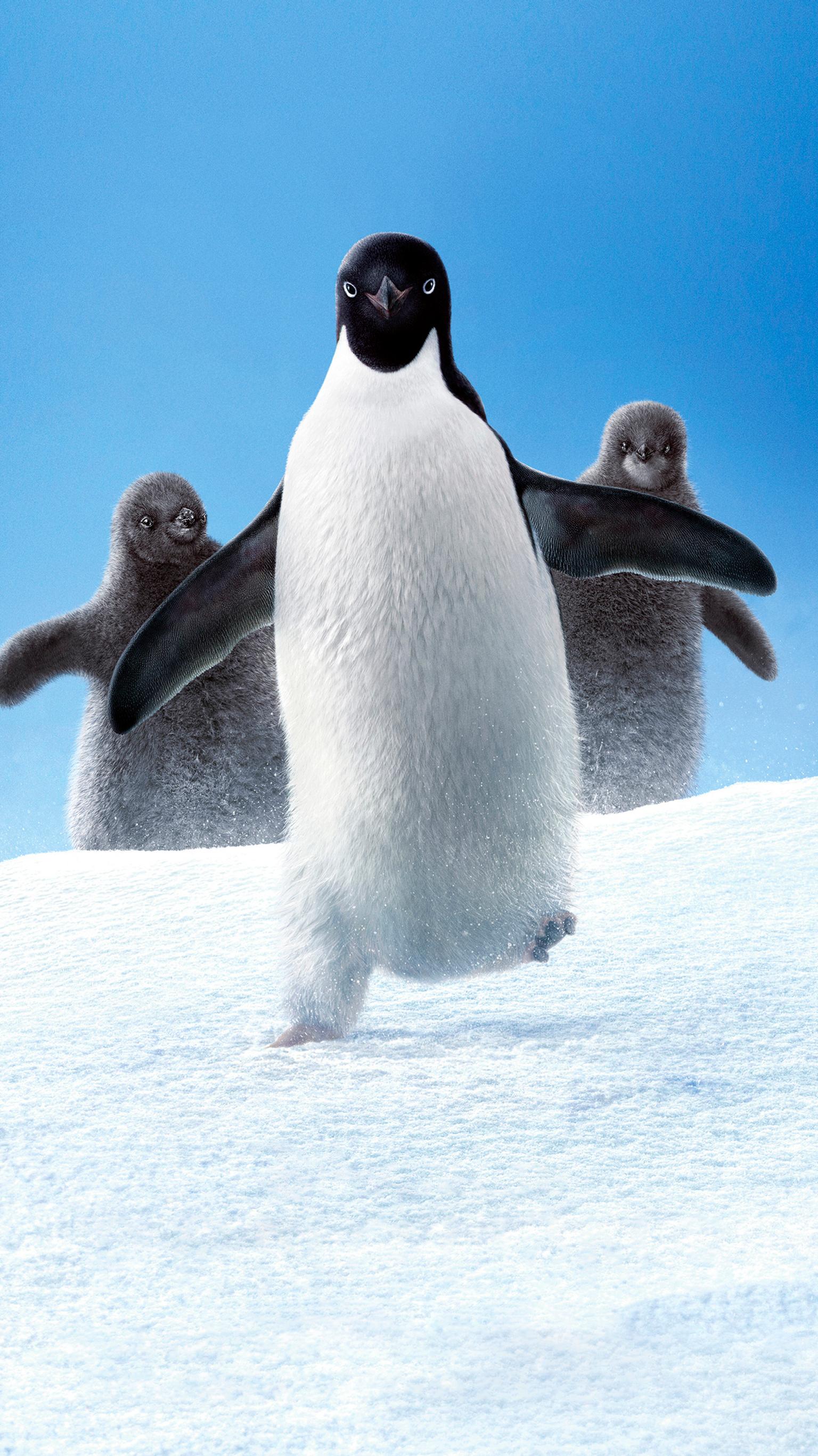 Penguin Phone Wallpaper