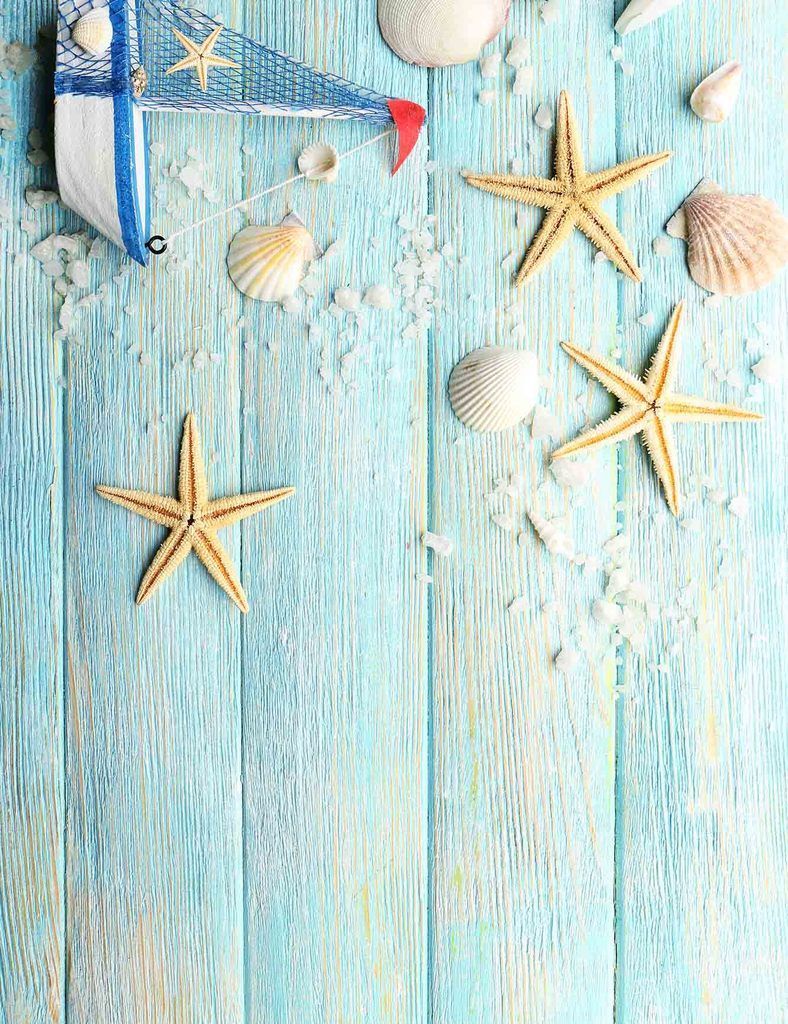 Sailboat And Shell On Baby Blue Wood Floor Backdrop. Blue wood, Beach backdrop, Backdrops