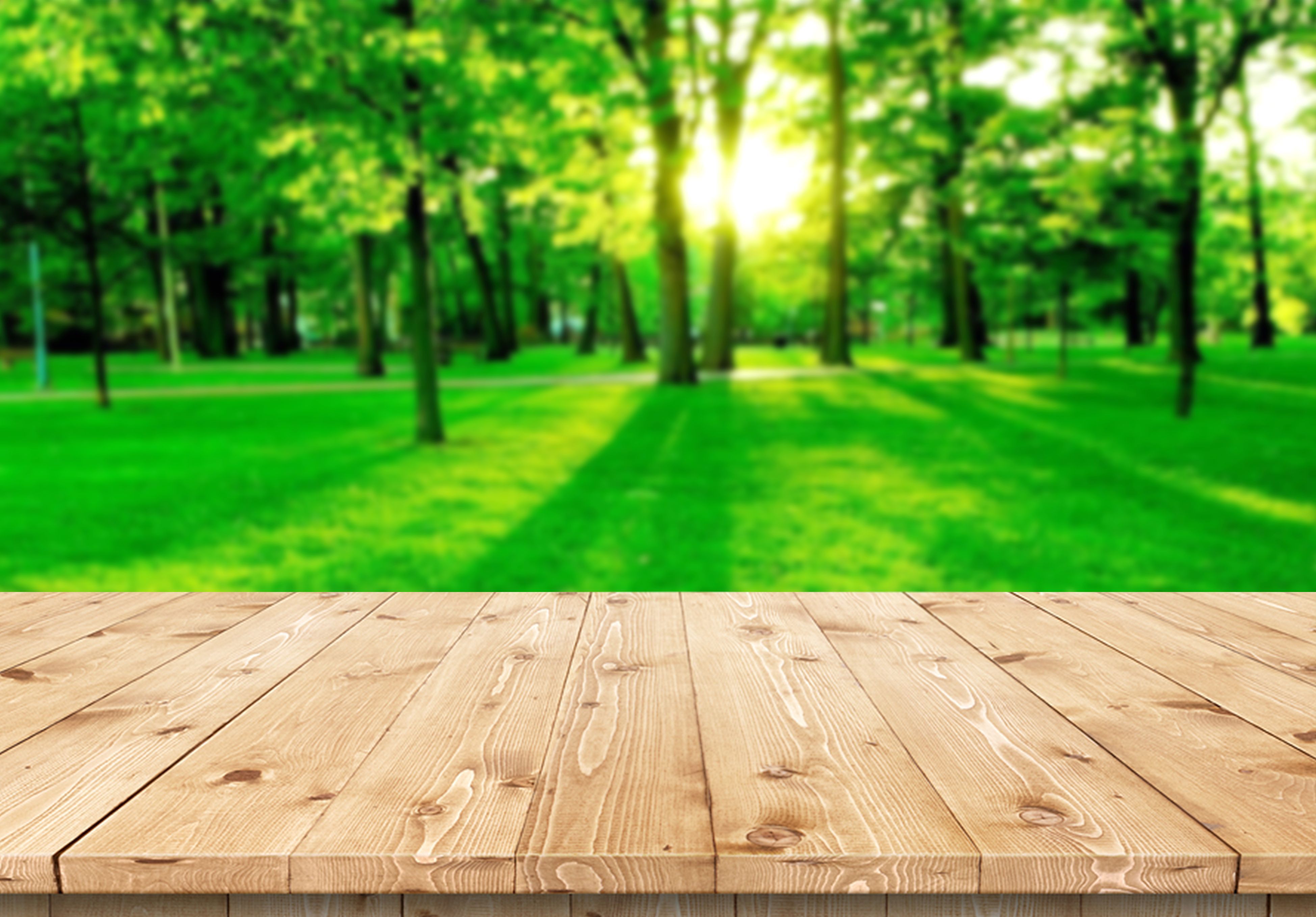 Wood floor with blurred nature park background and summer season, use for product display. Background, Wood floors, Wood