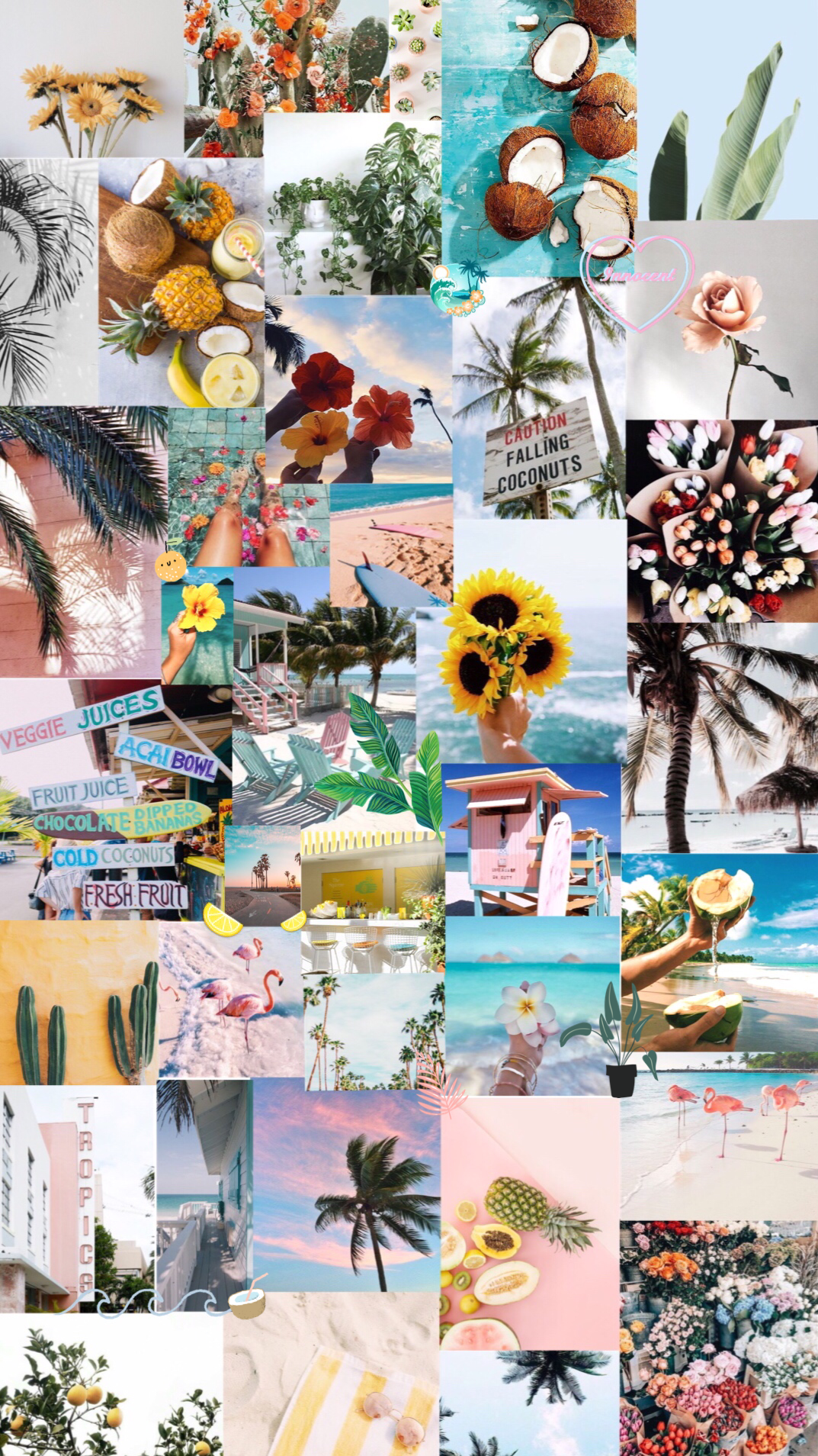Summer Asthetic Collage