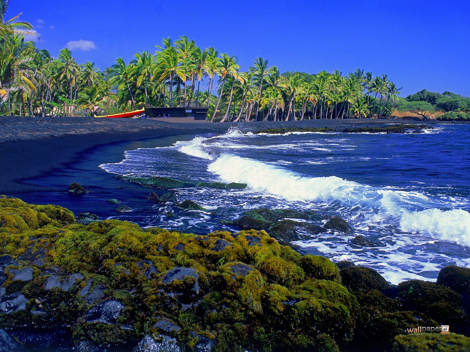 Hilo Hawaii Wallpaper Free Hilo Hawaii Background