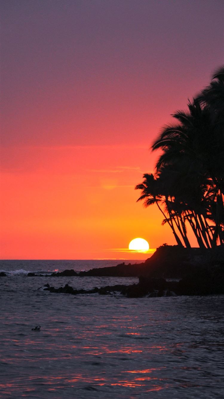 Big Island Sunset Hawaii iPhone 8 Wallpaper Free Download