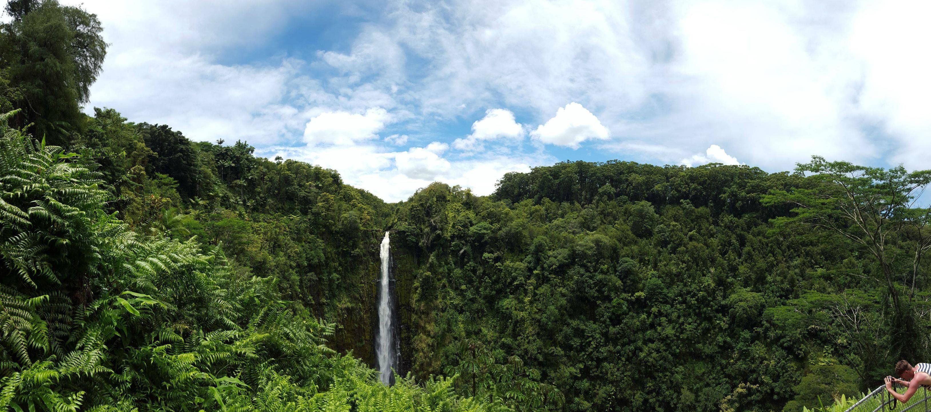 Akaka Falls Hilo Hawaii HD wallpaper