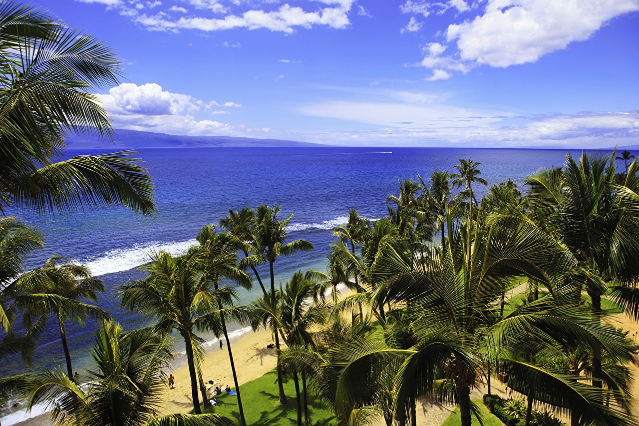 Photo Hawaii Hilo Sea Ocean Nature Sky Palms Tropics Coast