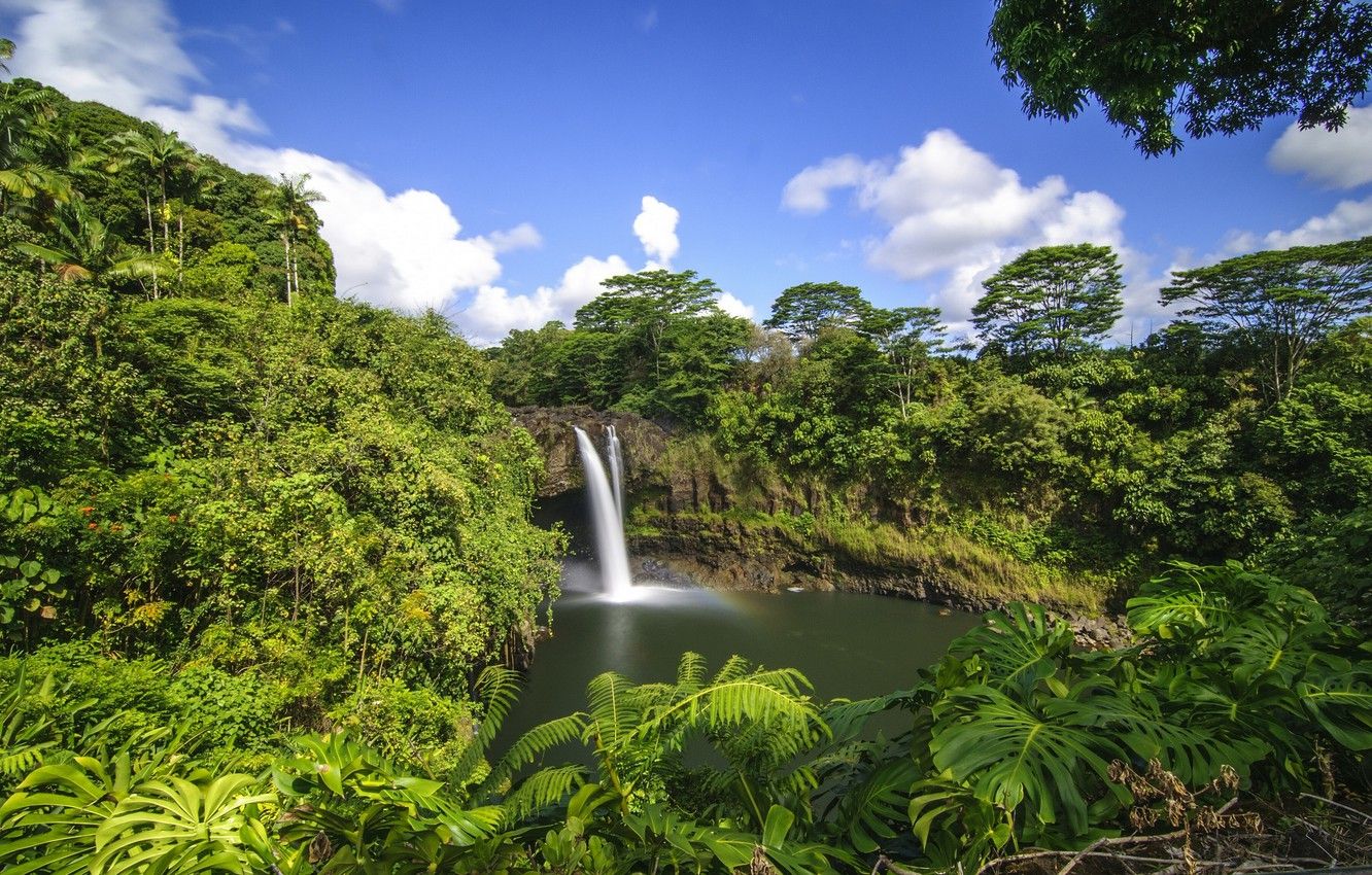 Wallpaper forest, tropics, waterfall, Hawaii, Hawaii, Hilo, Rainbow Falls image for desktop, section пейзажи